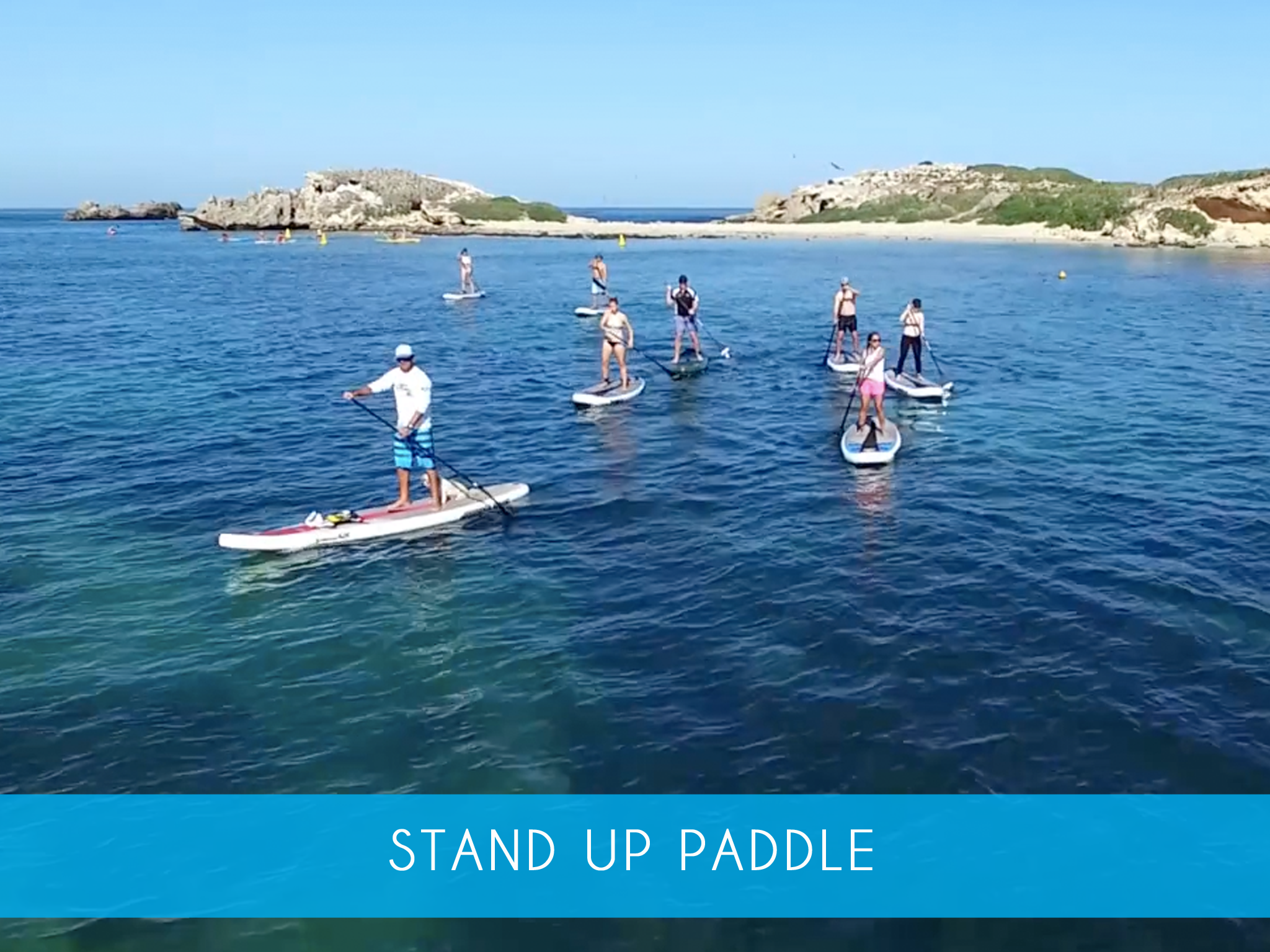 standuppaddle.png