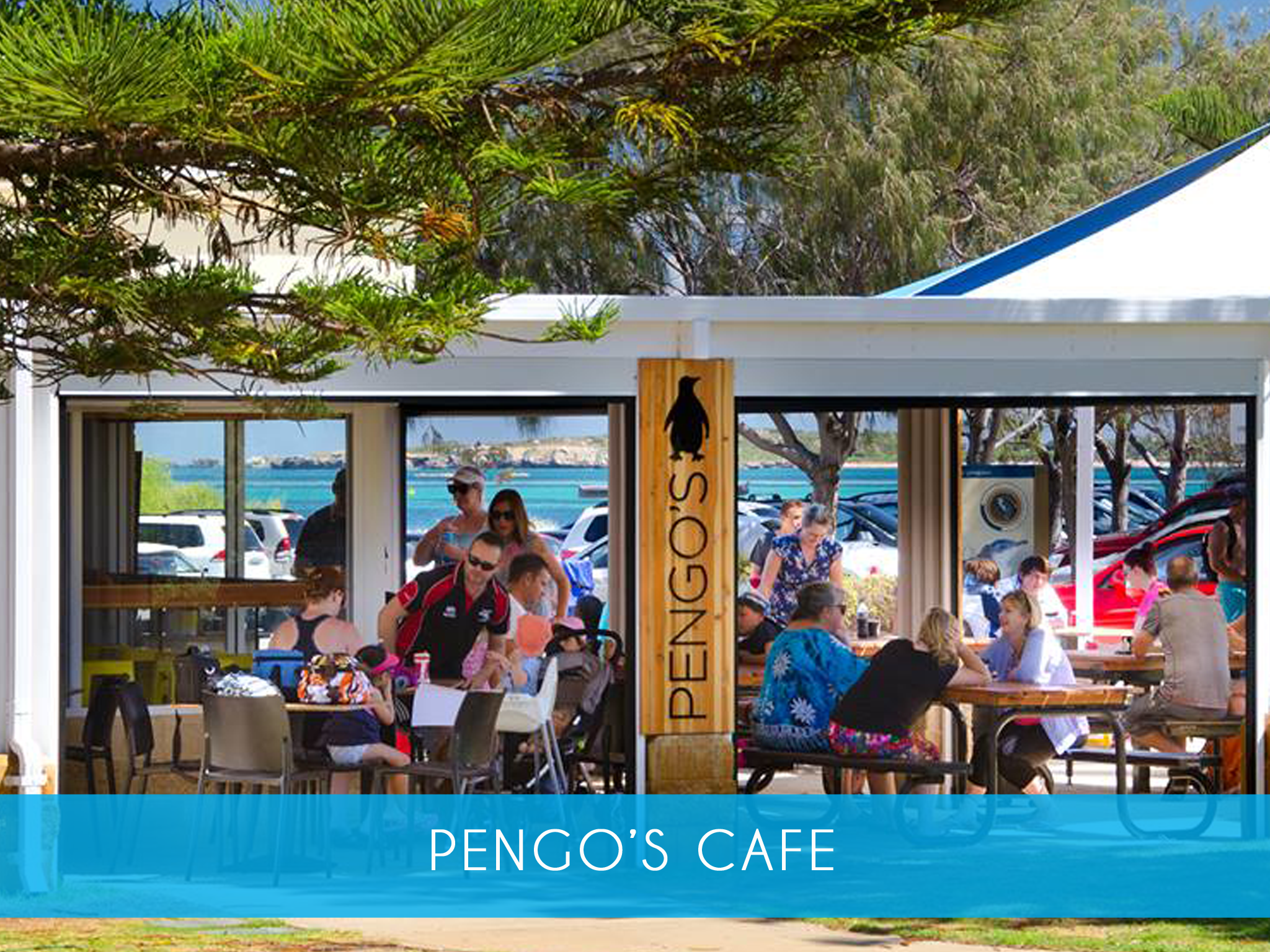 PENGUIN ISLAND WILDLIFE CRUISE  (June 6 to Sept 14 only)Join us on a 60 minute glass bottom boat cruise in search of dolphins, sea lions and nesting sea birds. Includes a 30 minute guided walk on Penguin Island to take in spectacular views of the marine park.  Adults $39   MORE INFO