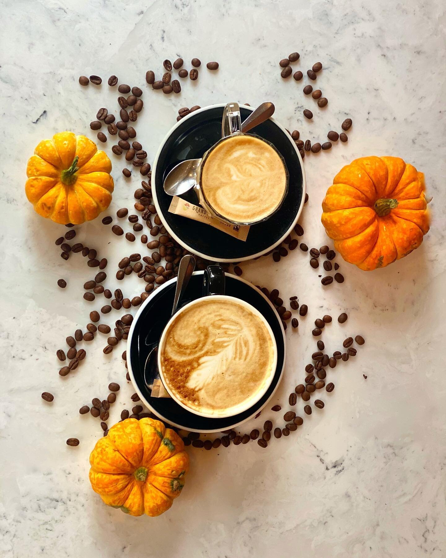 ℍ𝕖𝕝𝕝𝕠 𝕆𝕔𝕥𝕠𝕓𝕖𝕣! 

What better way to kick start the month then celebrating #internationalcoffeeday

#beechhousesolihull #oakmaninns #October  #internationalcoffeeday #ruleof6 #360coffee#pumpkin