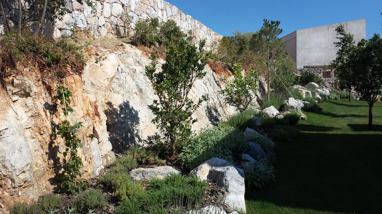 The+plants+are+establishing+themselves+nicely+at+the+mock-up+villa.jpg