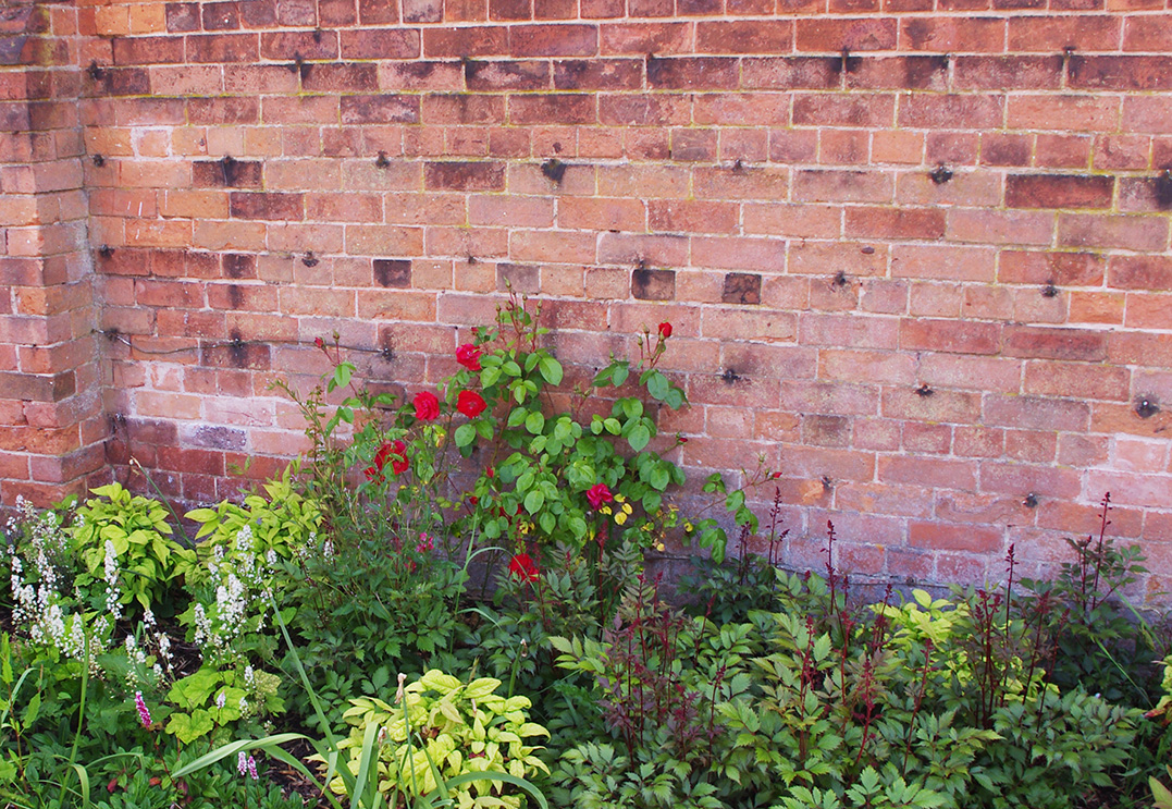 The Walled Garden