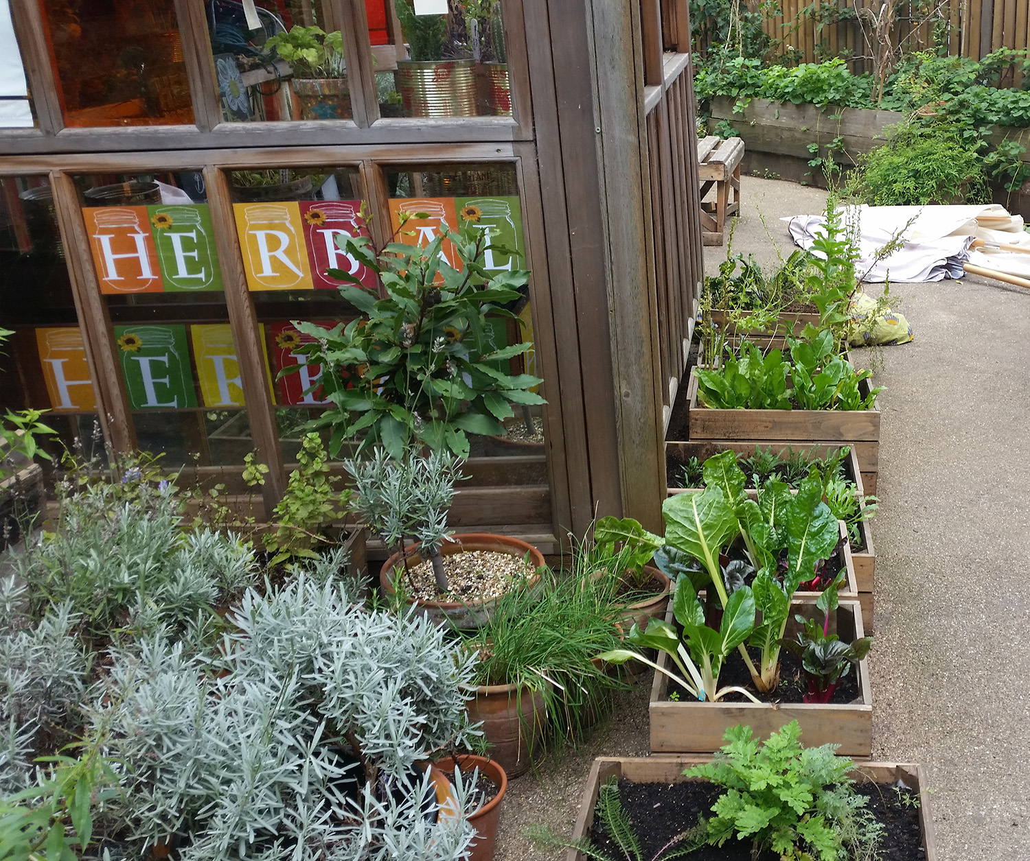 Dalston Eastern Curve Garden