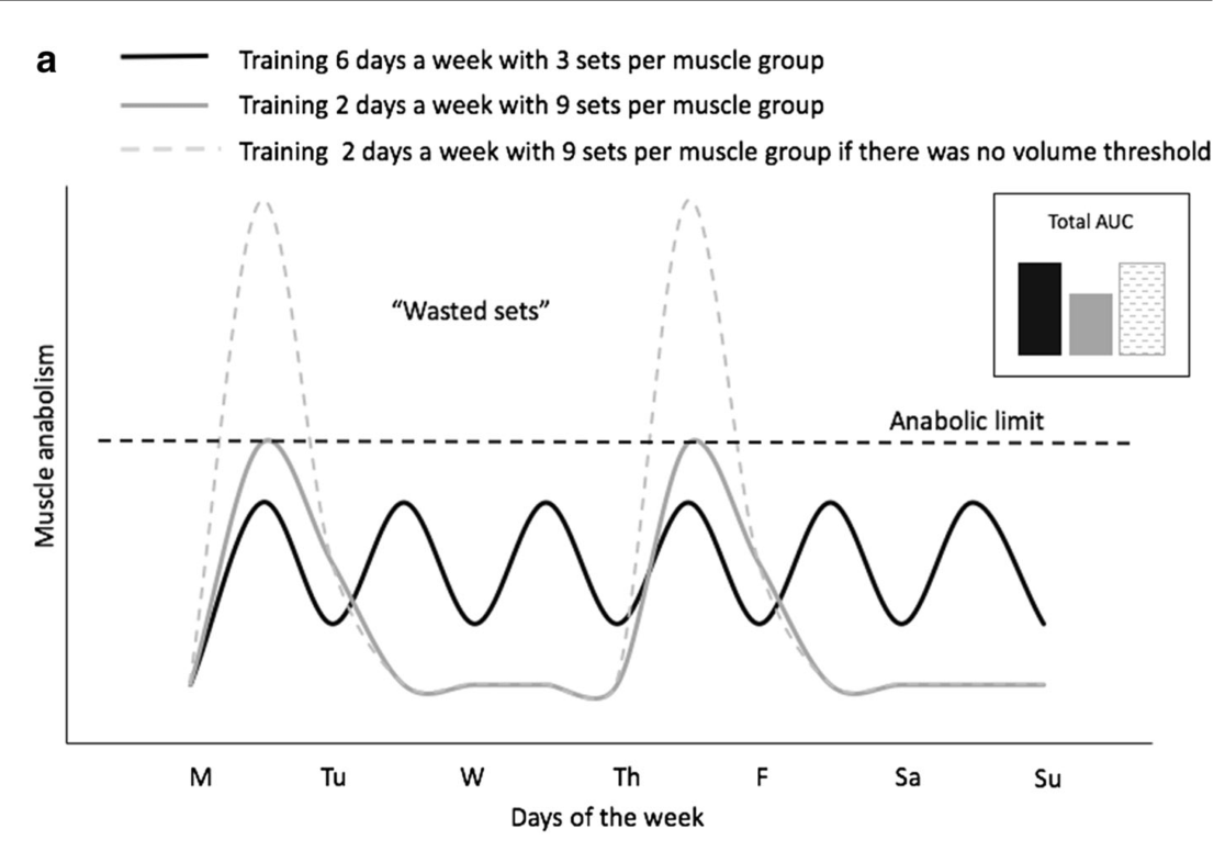 Why You Should Train Every Day Sciencestrength Why You Should Train Every Day Sciencestrength