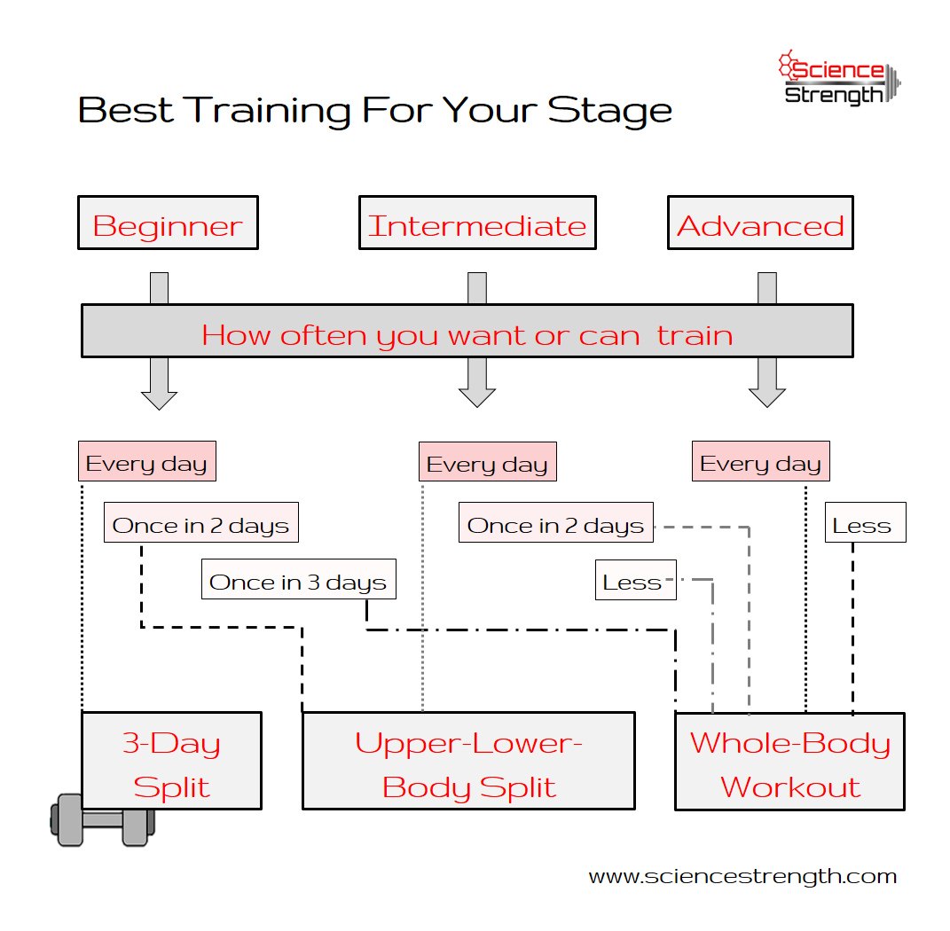 How To Build A Full-Body Routine — ScienceStrength