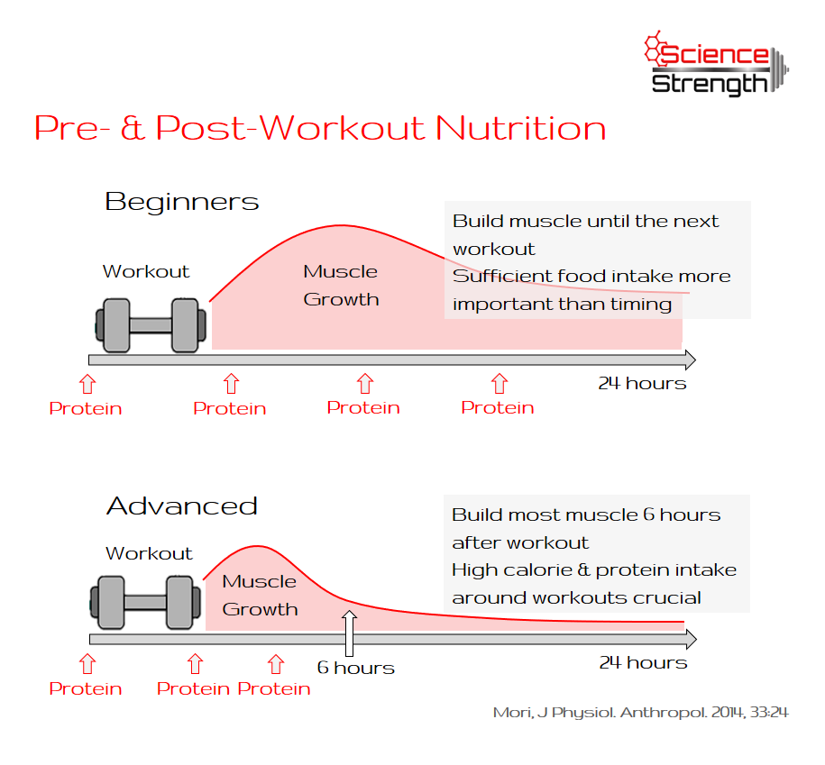 Optimize Your Nutrient Timing — ScienceStrength
