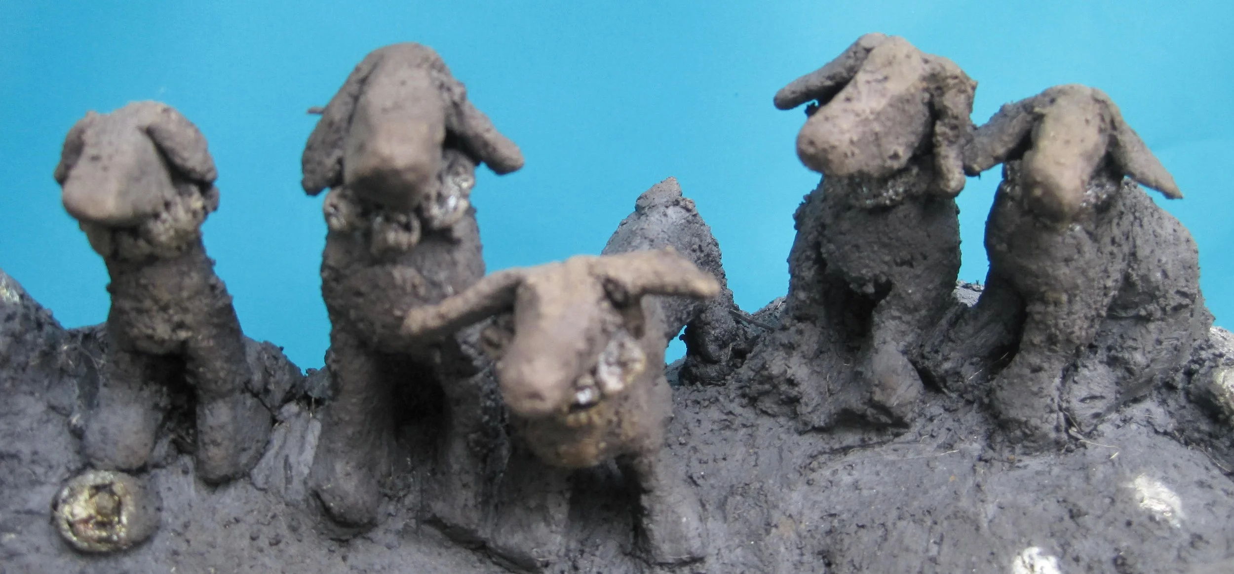 Circus Dogs (close up)