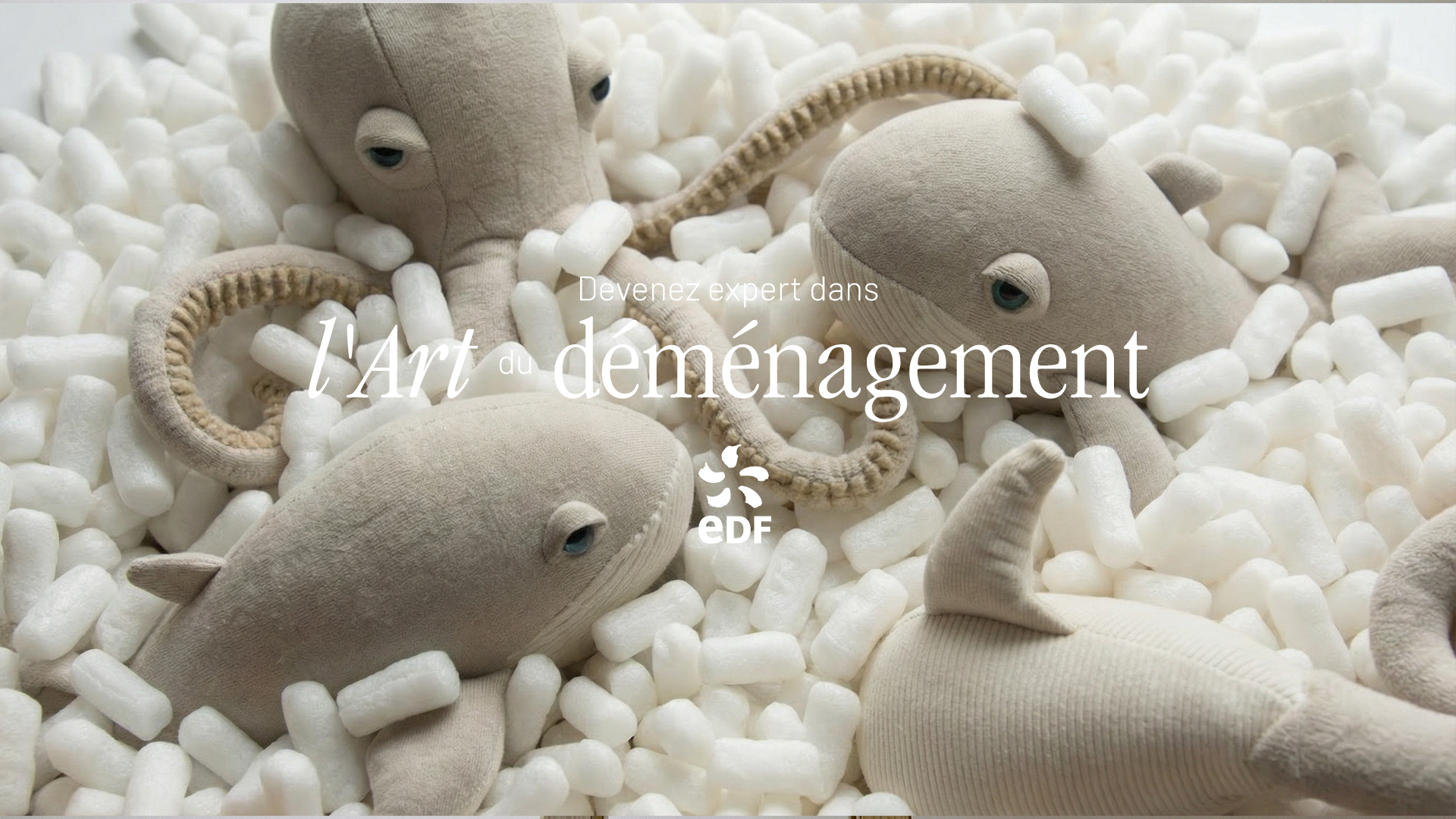 Plan de travail 1 copie 11.png