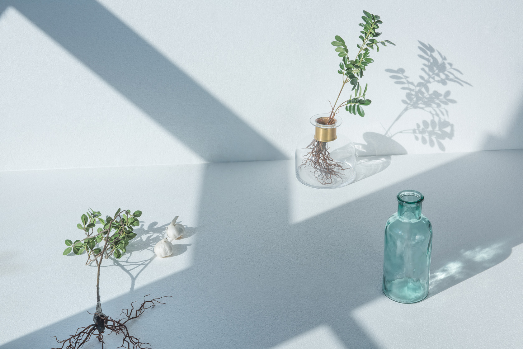 Product Editorial for Under The Line