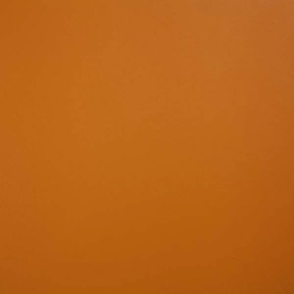 <b>Tang</b> | PTG