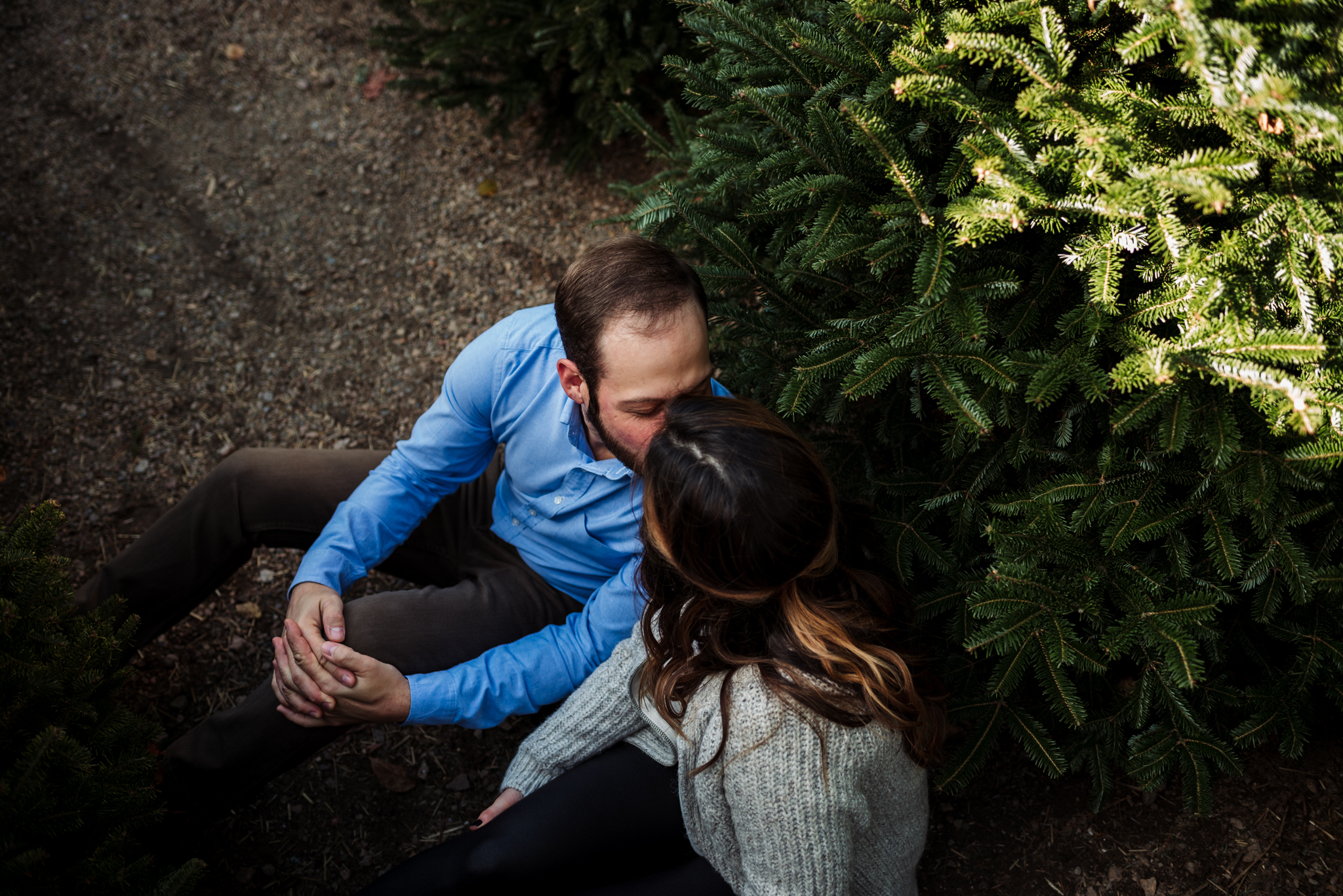 kissing-under-the-christmas-trees-in-Raleigh.jpg