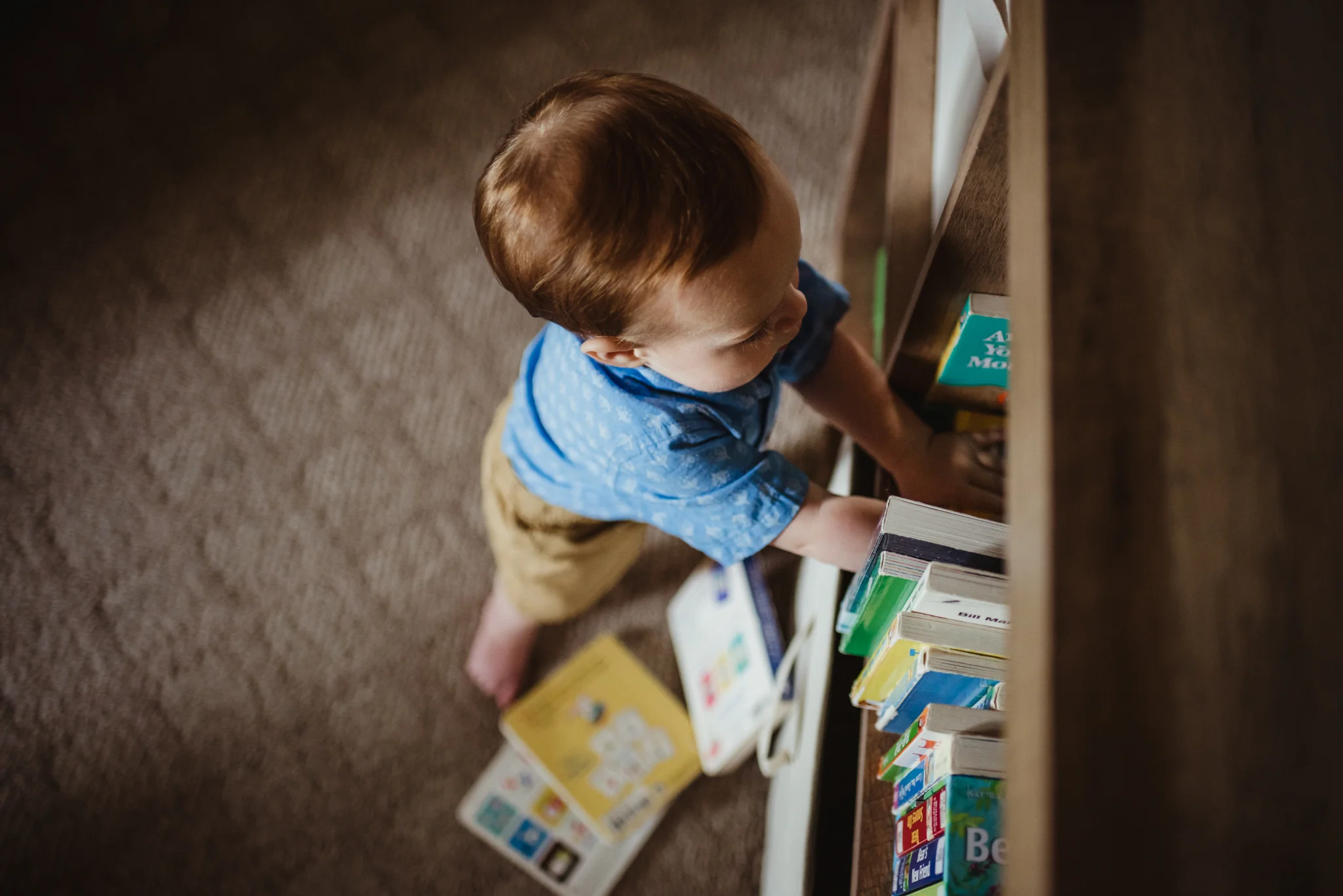 Baby stands at the book shelf knocking down books during their lifestyle session at home in Wake Forest with Rose Trail Images.