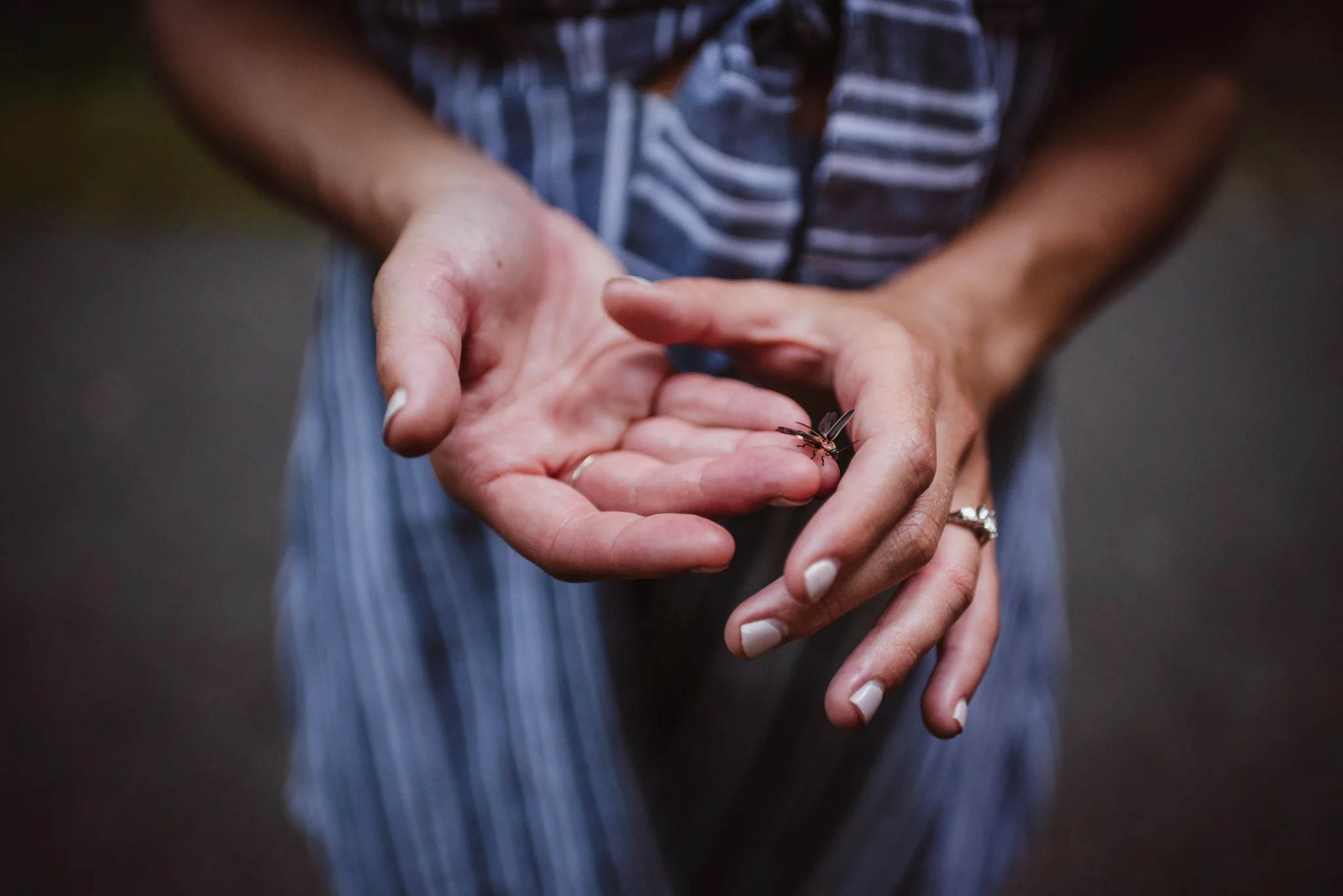 A firefly landed in Kristin's hands during their engagement shoot in Raleigh with Rose Trail Images.