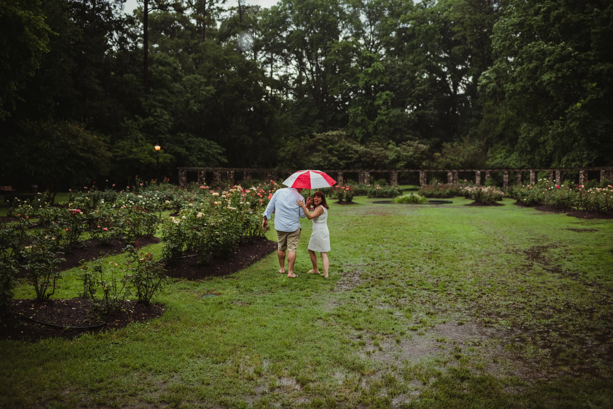 The bride and groom to be go under the umbrella during the rainstorm in Raleigh, during their engagement session with Rose Trail Images.