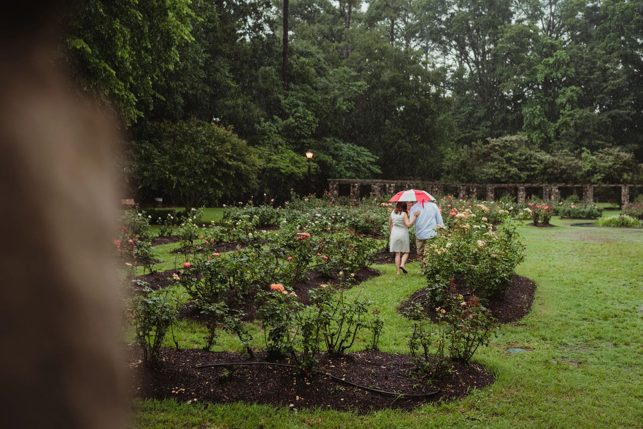 The bride and groom to be walk under the umbrella during the rainstorm in Raleigh, during their engagement session with Rose Trail Images.