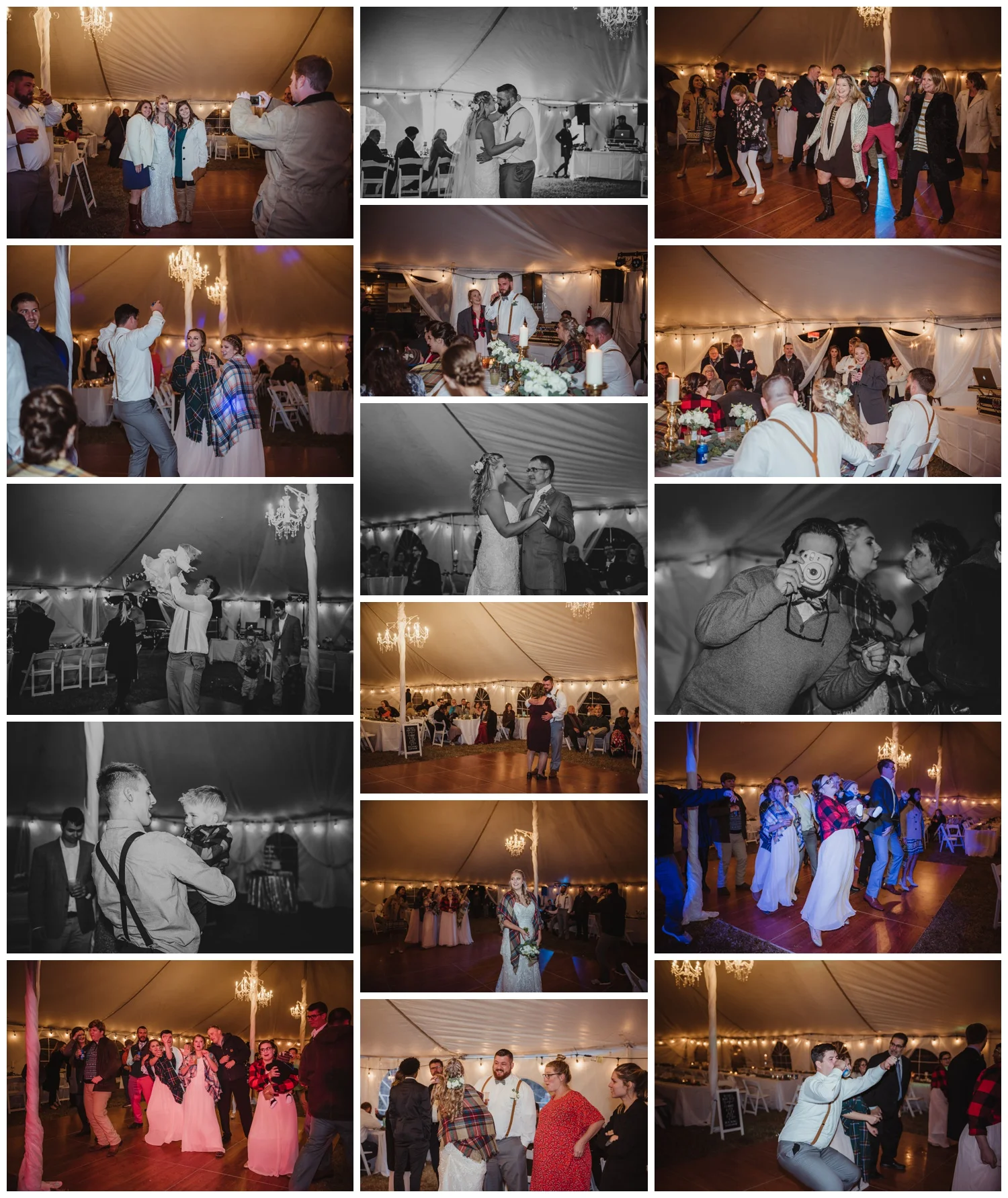 The wedding reception at The Warren Estate had all the guests dancing, images by Rose Trail Images of Rolesville, NC.
