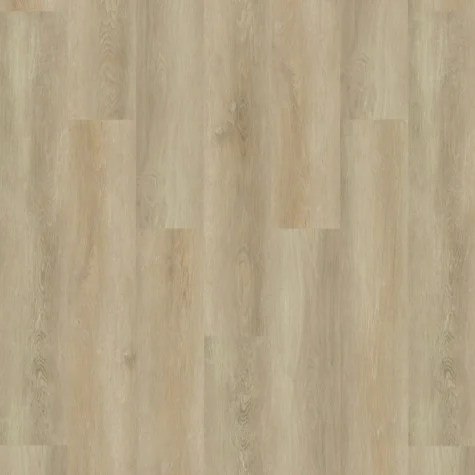 FPP-5203-layout.jpg