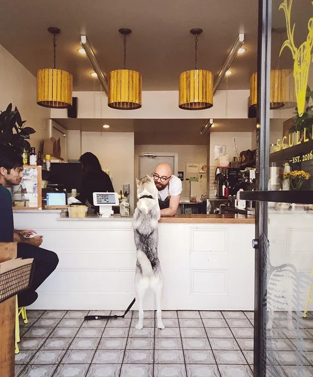 #dog #wholetthedogsout #fortakeout #sanfrancisco #deli #photography #shotoniphone