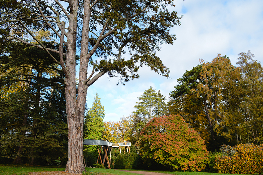 WBA-02112016-56.jpg