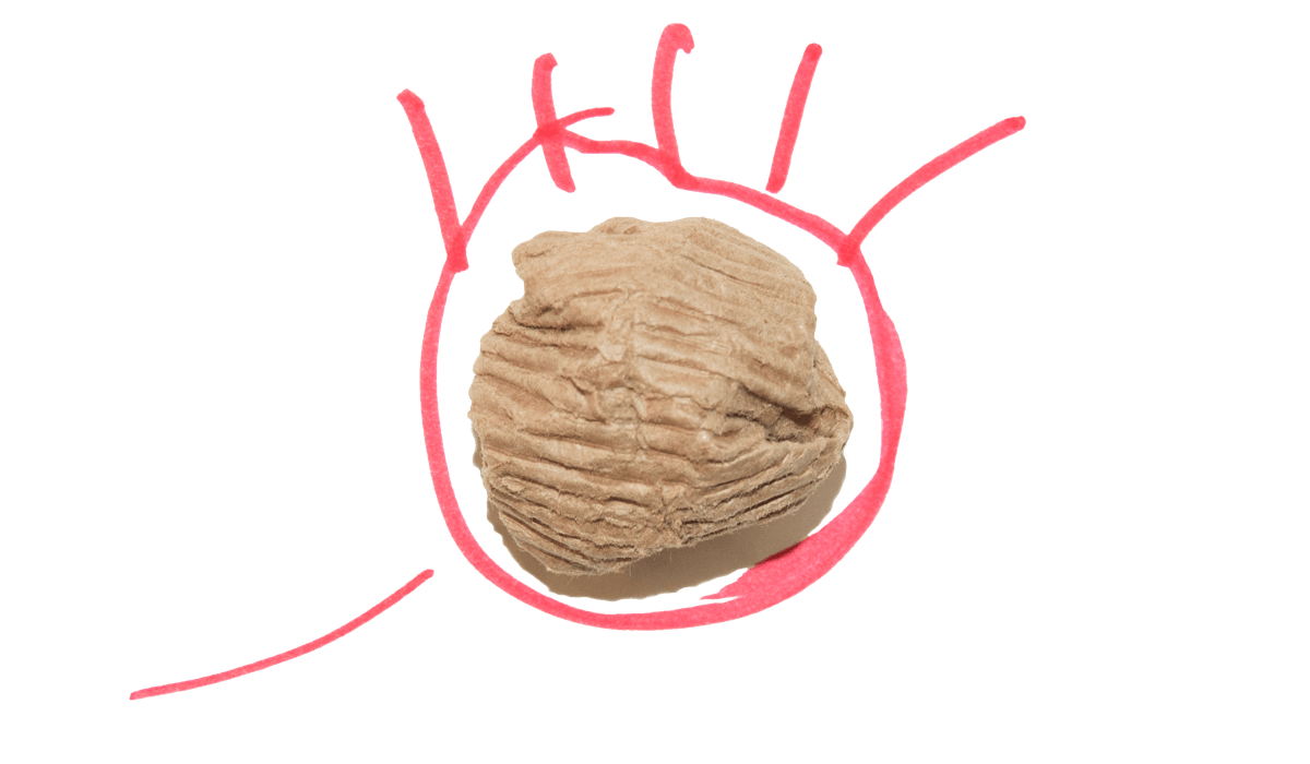 hand-textures-colors-transparent.png