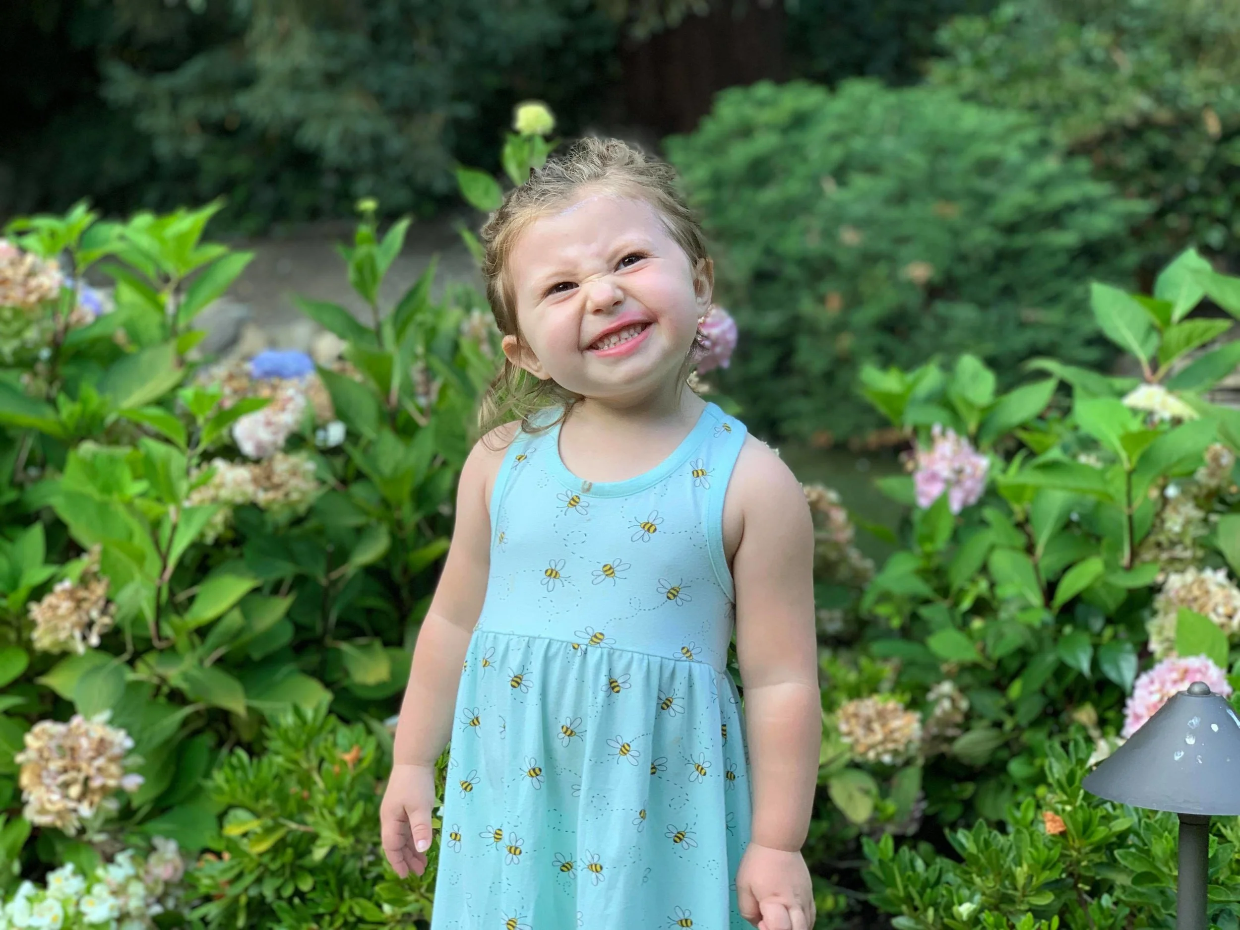 Learning to Restore - A Sneak Peek Chapter of My Book