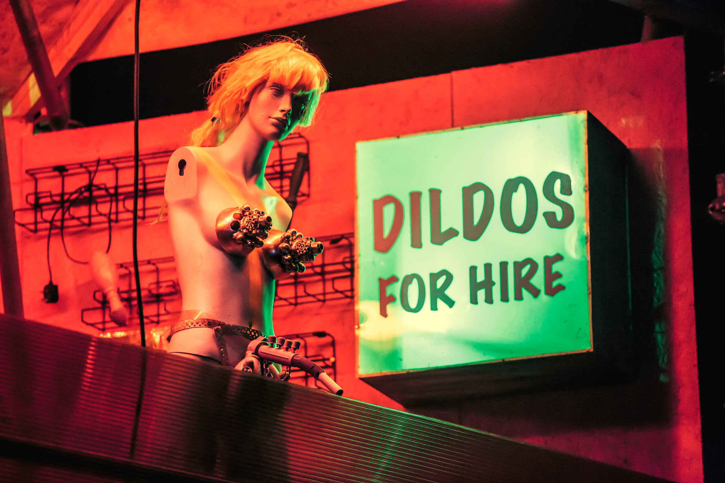 DILDOS FOR HIRE Metallic Print 
