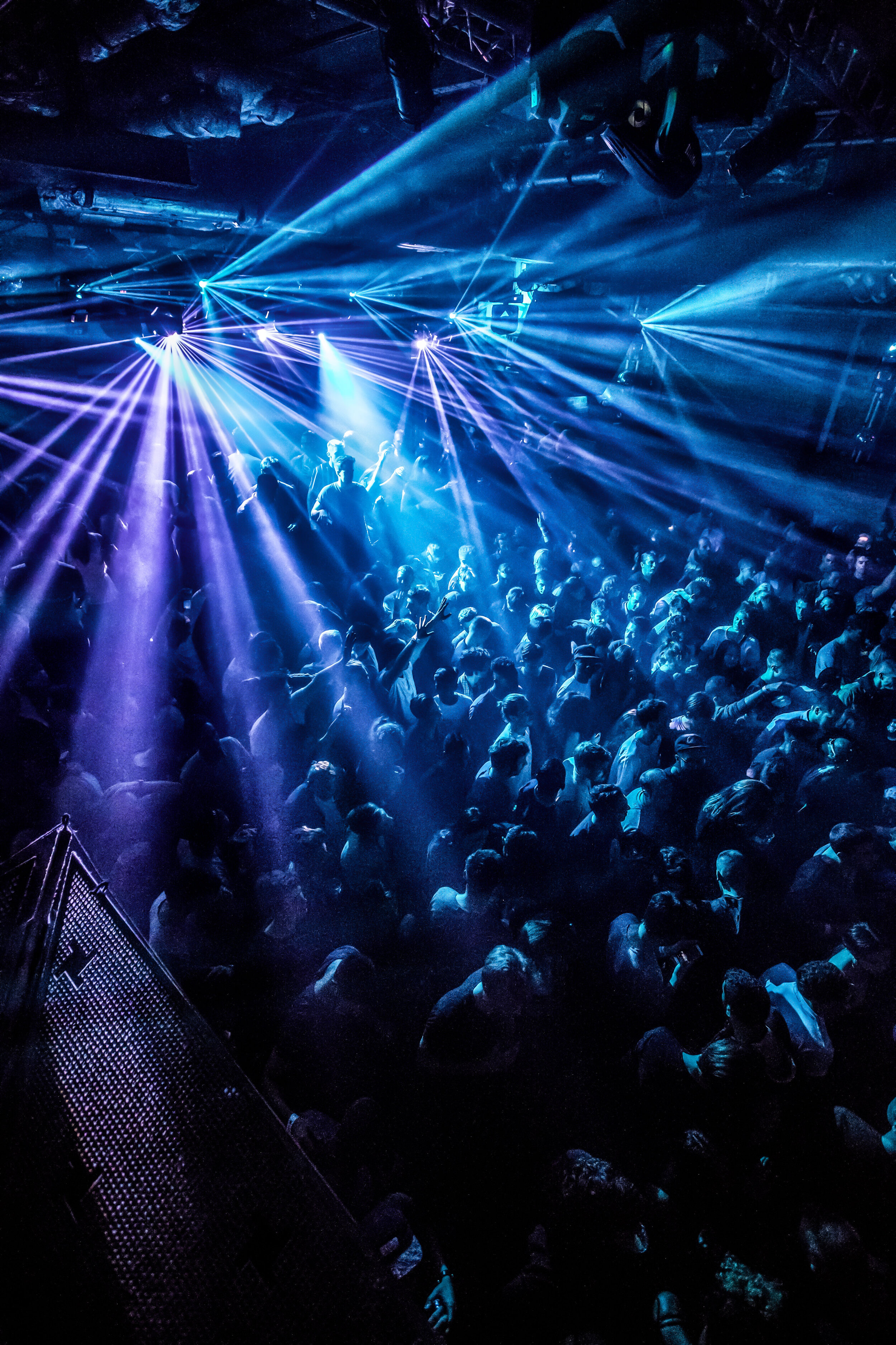 FABRIC MUSEUM OF LONDON Metallic Print 