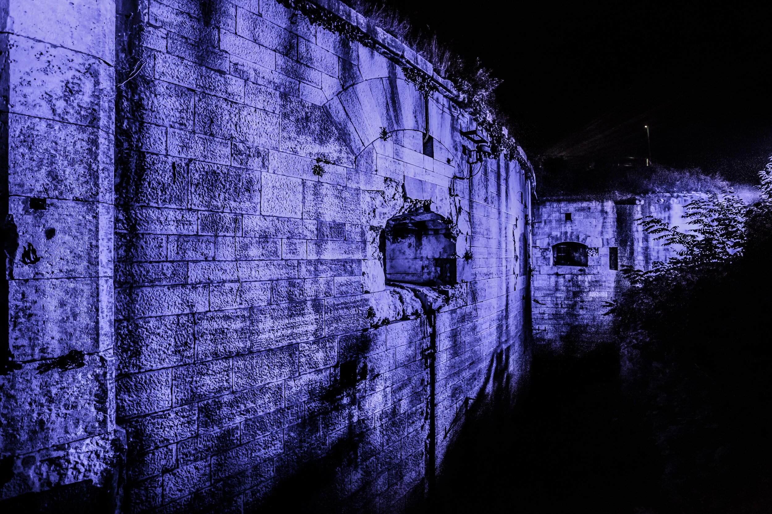 OUTLOOK FORT Metallic Print 