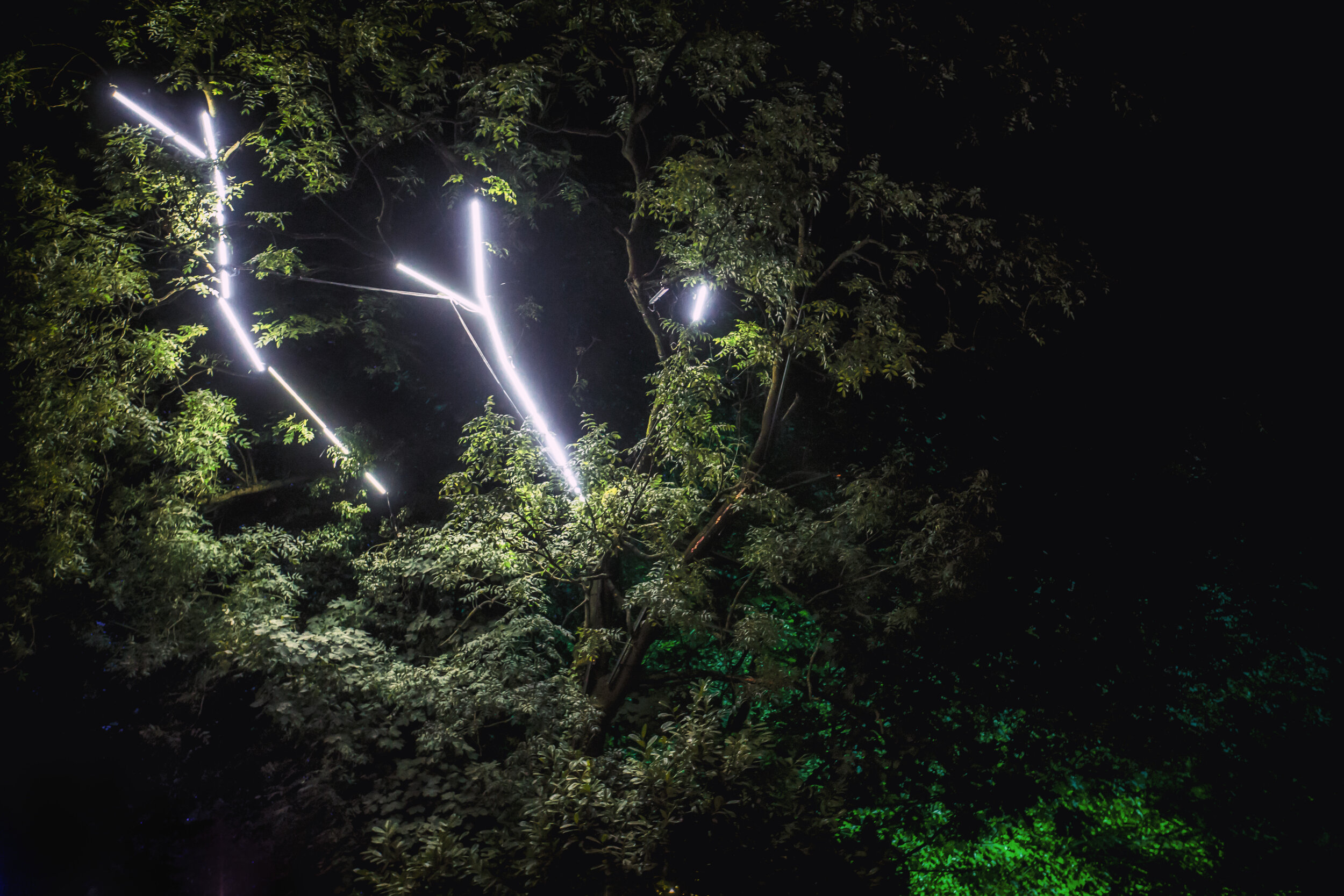 TREE OF LIFE Metallic Print 