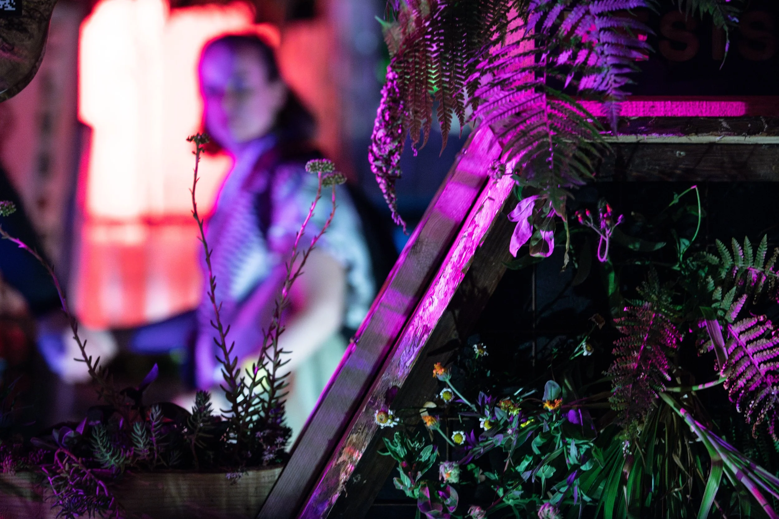 SHANGRI-LA 2025.GLASTO.SARAHGINN.66.jpg