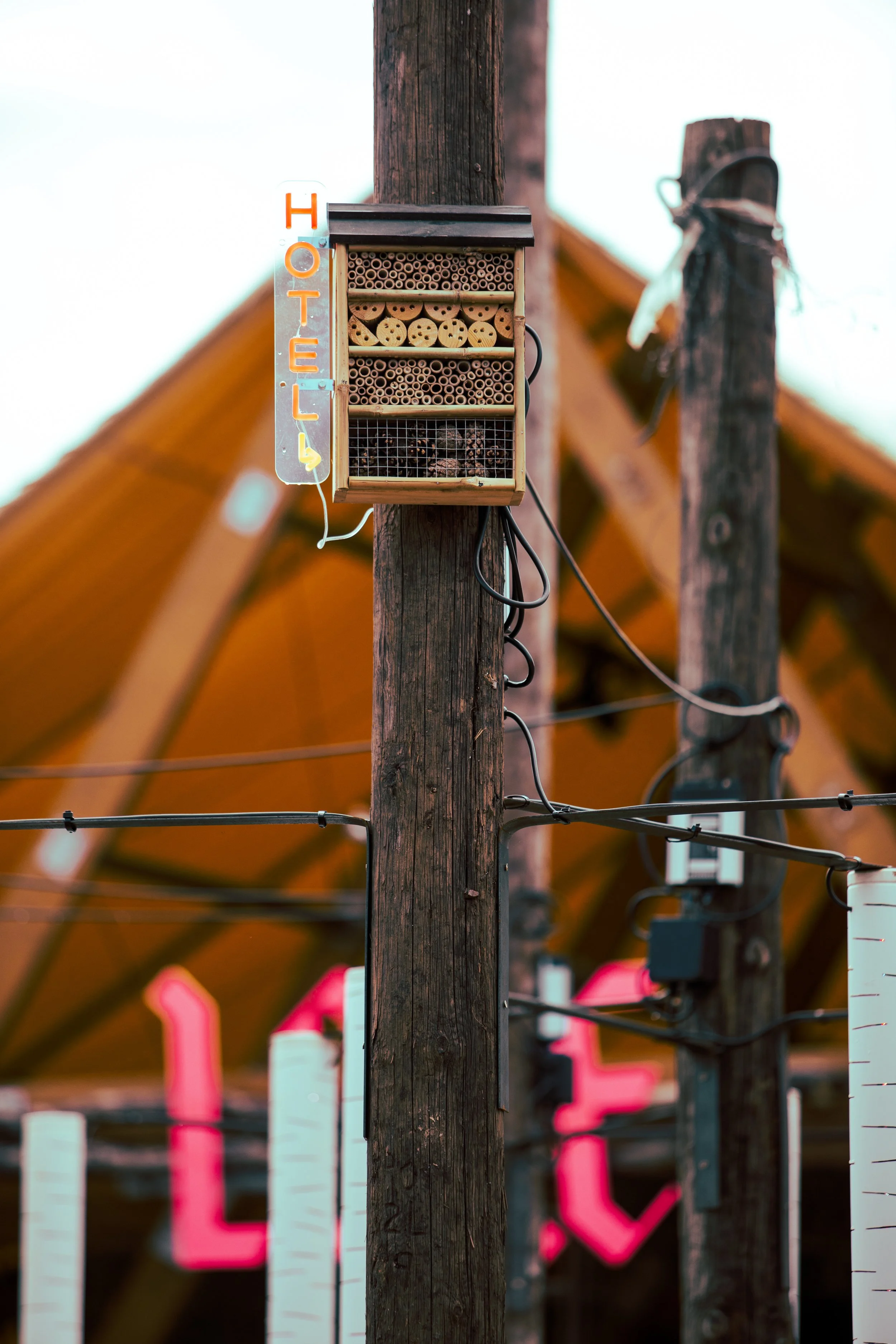 SHANGRI-LA 2025.GLASTO.SARAHGINN.28.jpg