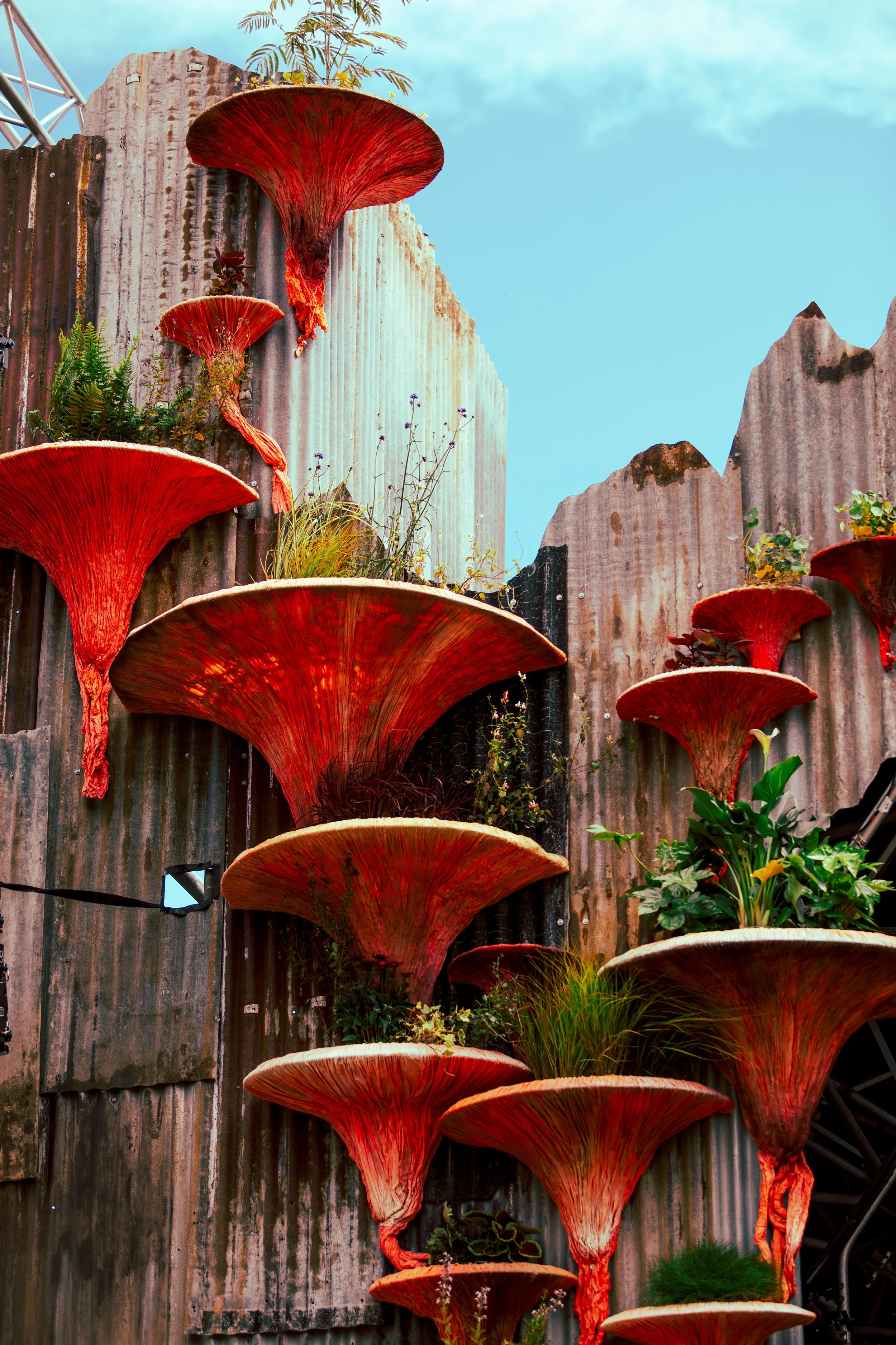 SHANGRI-LA 2025.GLASTO.SARAHGINN.19.jpg