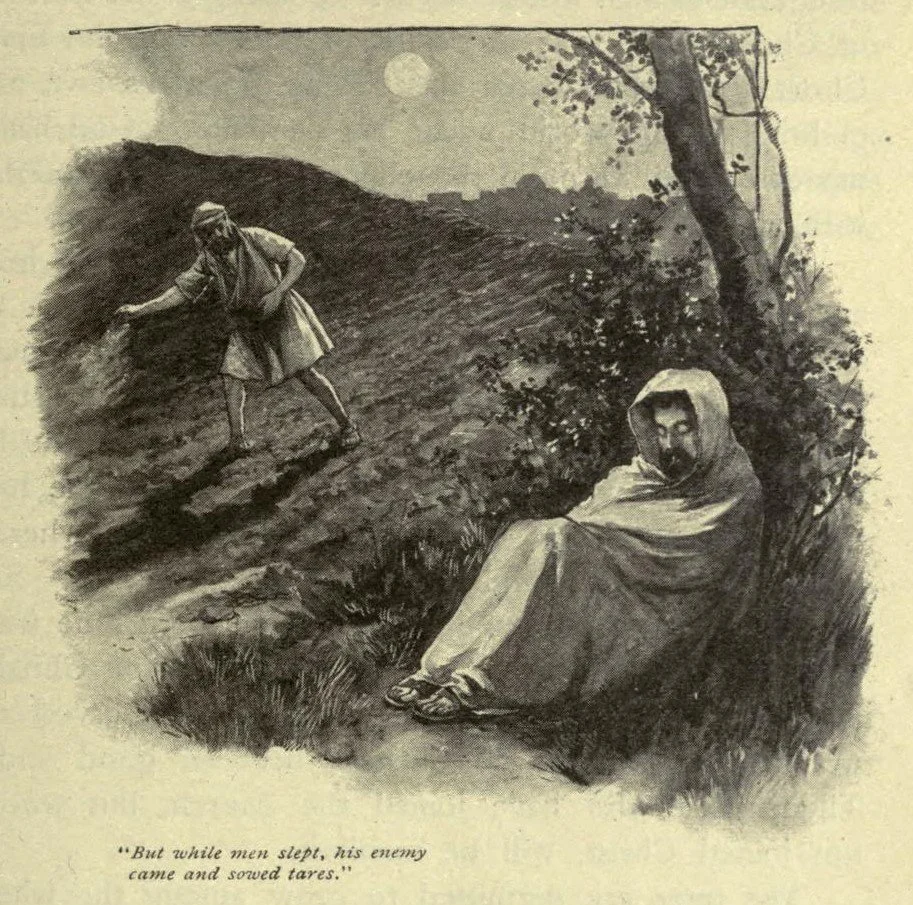 Wheat Amongst the Weeds, Matthew 13:24-30, 36-43
