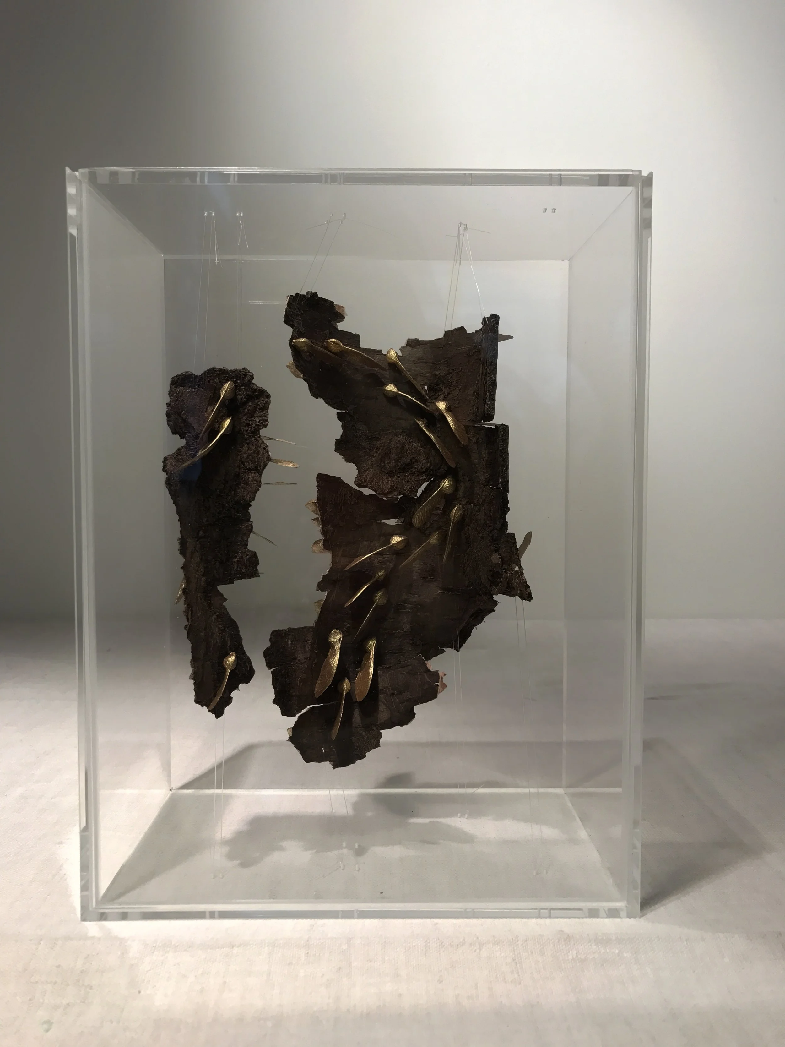 Crossing I - Migration Series