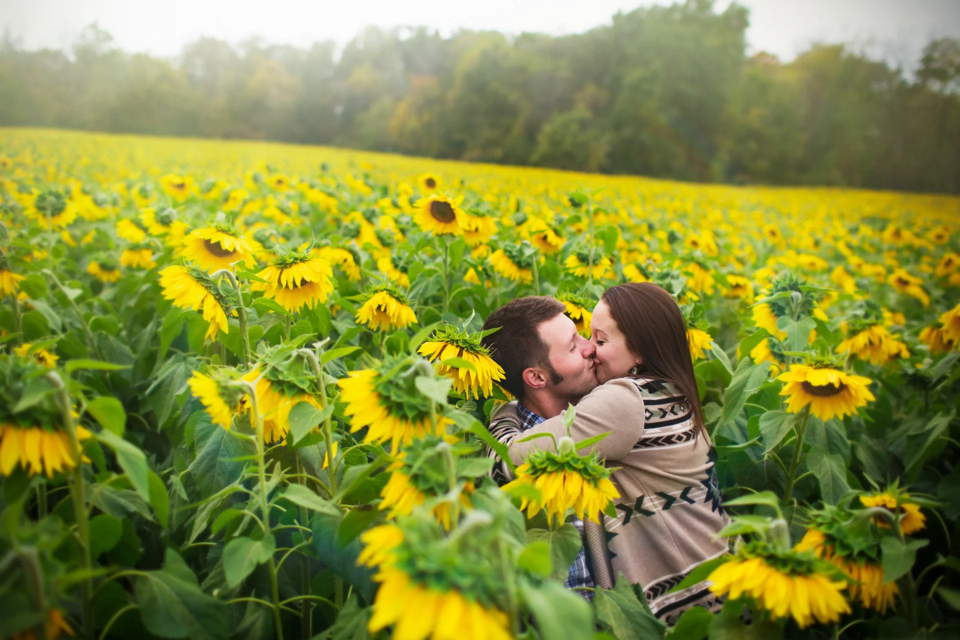 untitled-340-Edit-Edit.jpg
