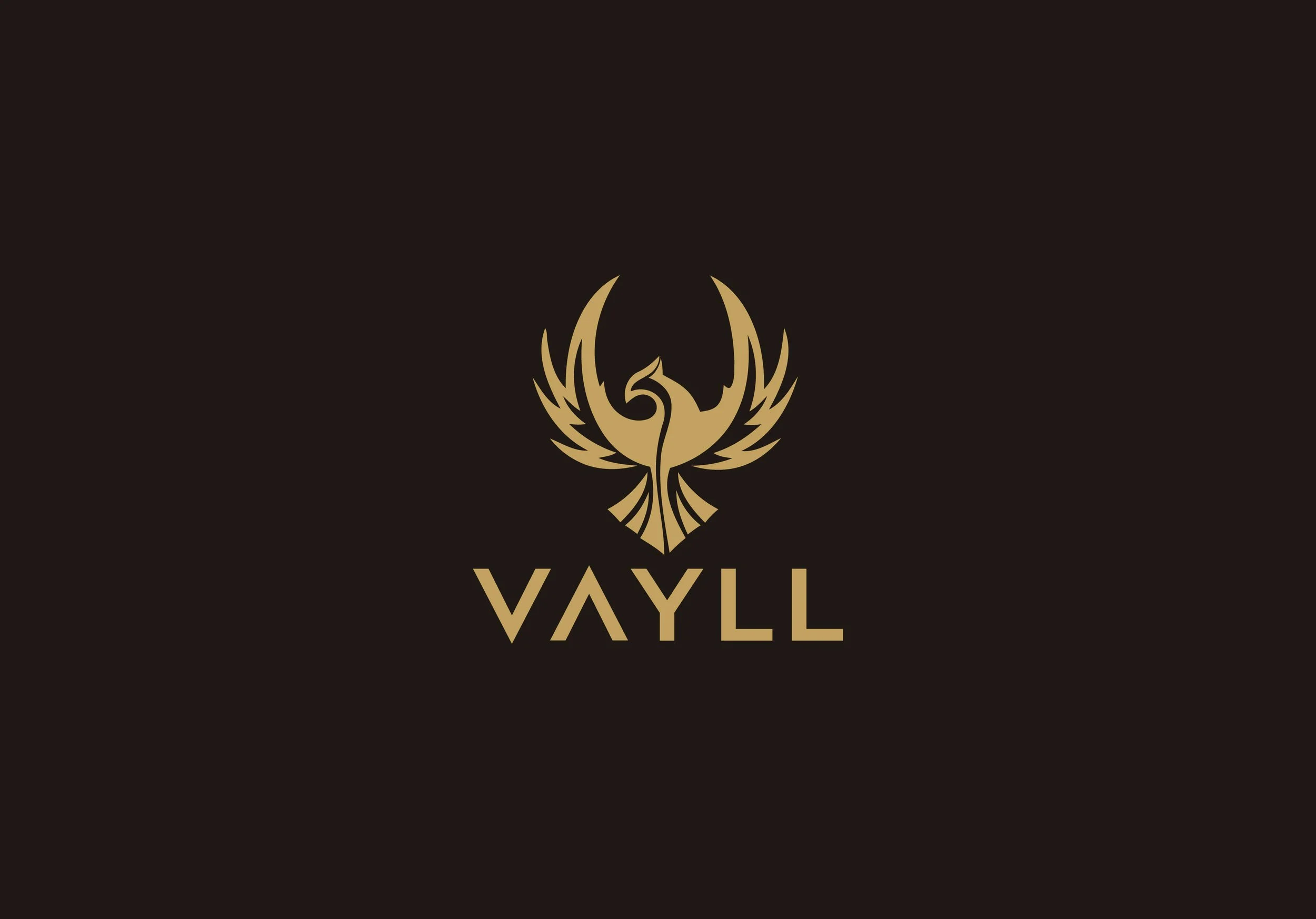 VAYLL Logo.jpg