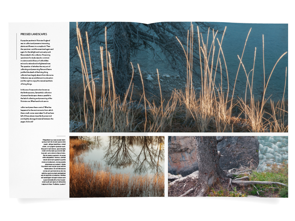 LeageMagazineSpread2.jpg