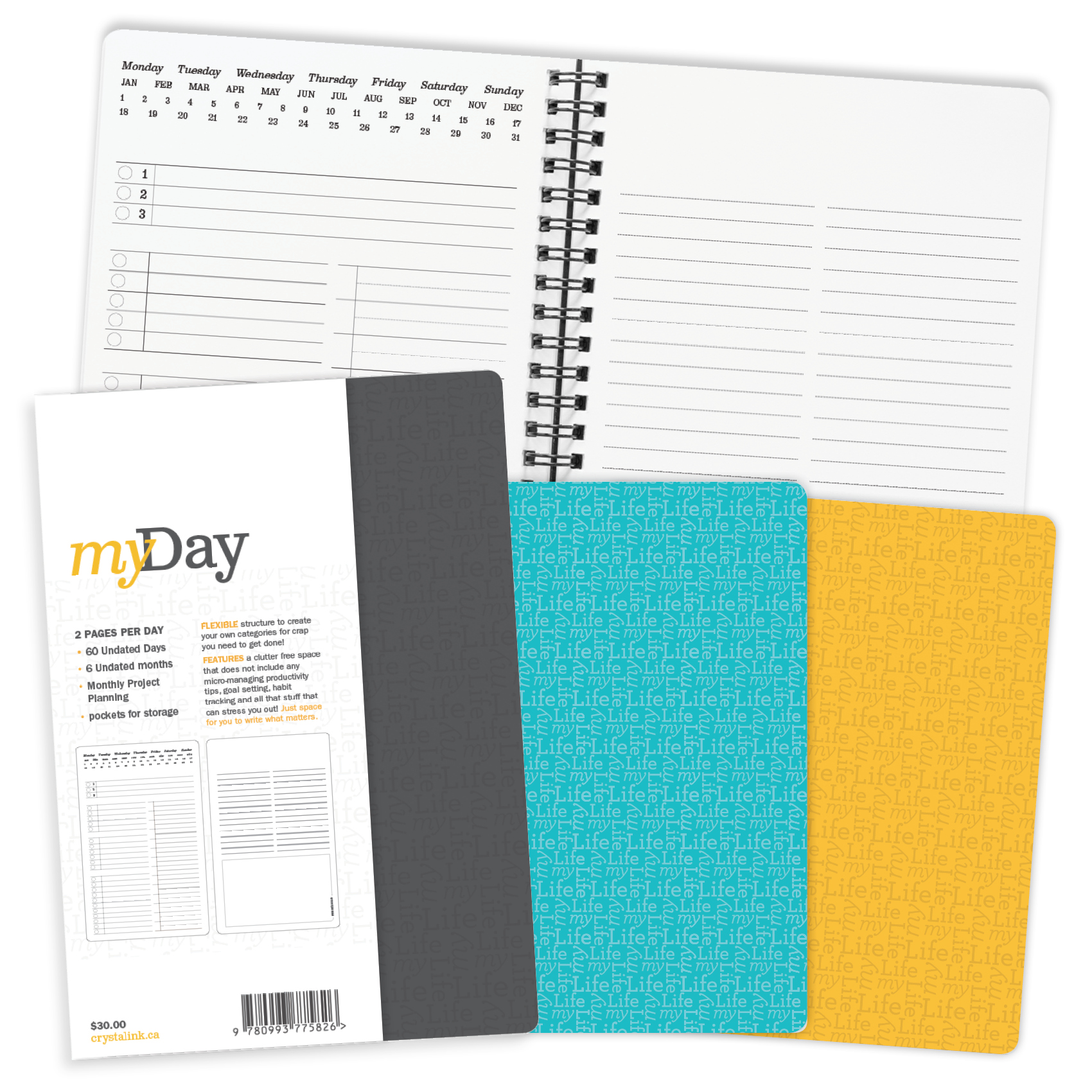 myDay-Feature.jpg