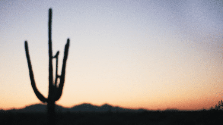 360F4D32-C932-4938-BF9A-E3F80297BF29.gif