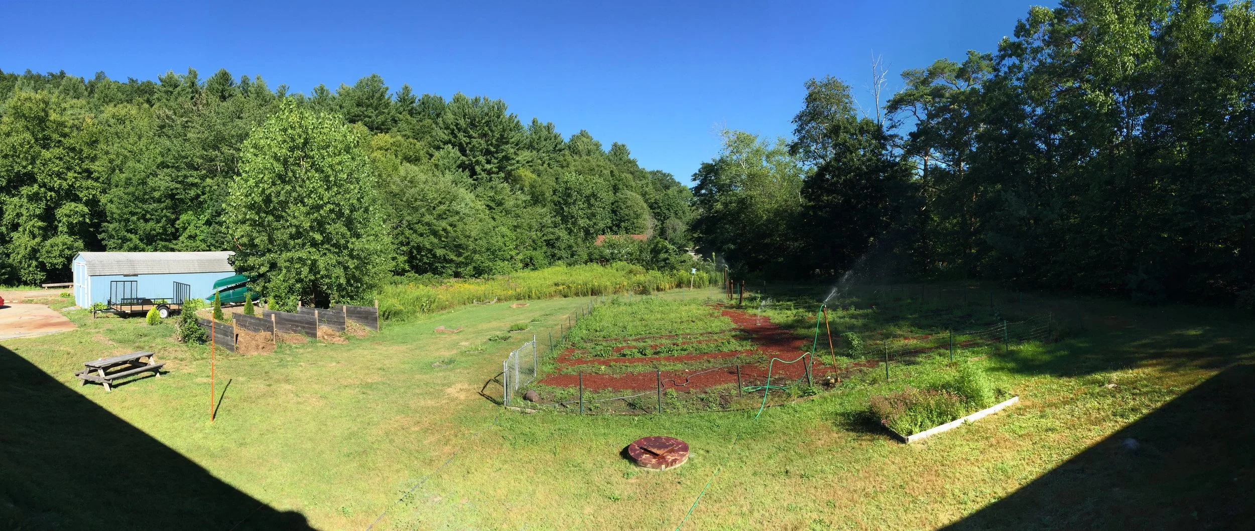 garden.JPG