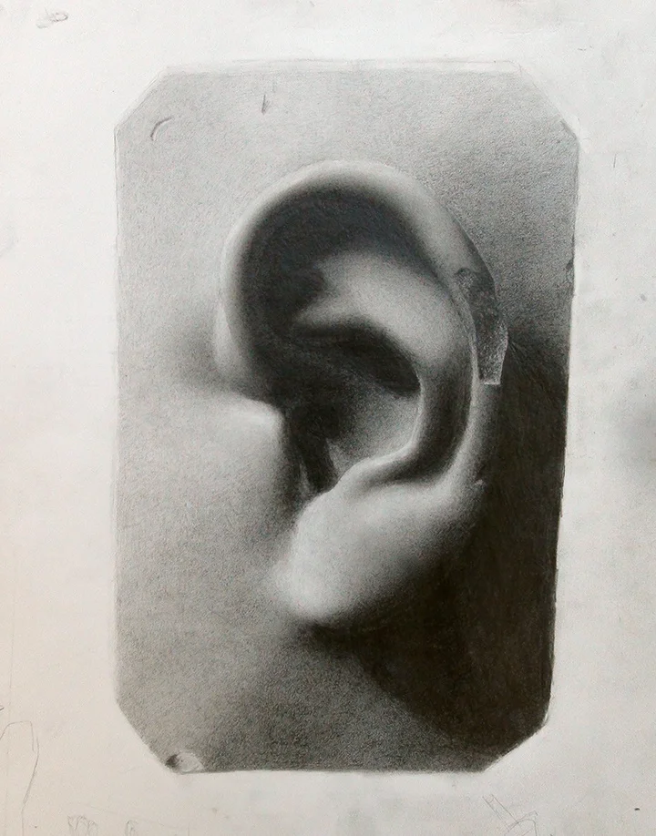 Ear of David