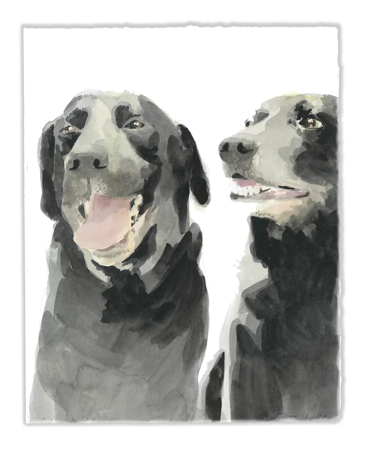 dogs.jpg