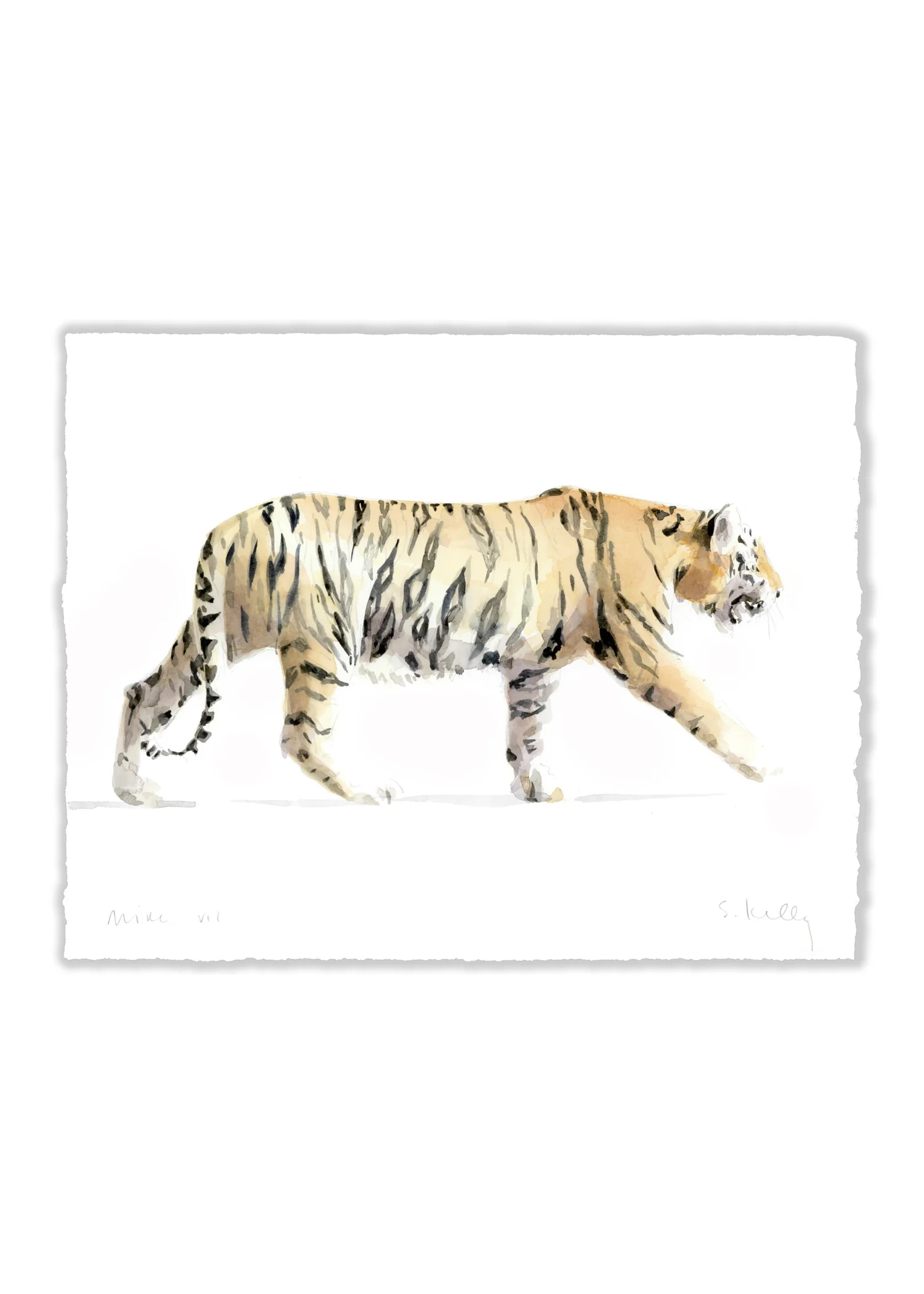 Mike VII - LSU