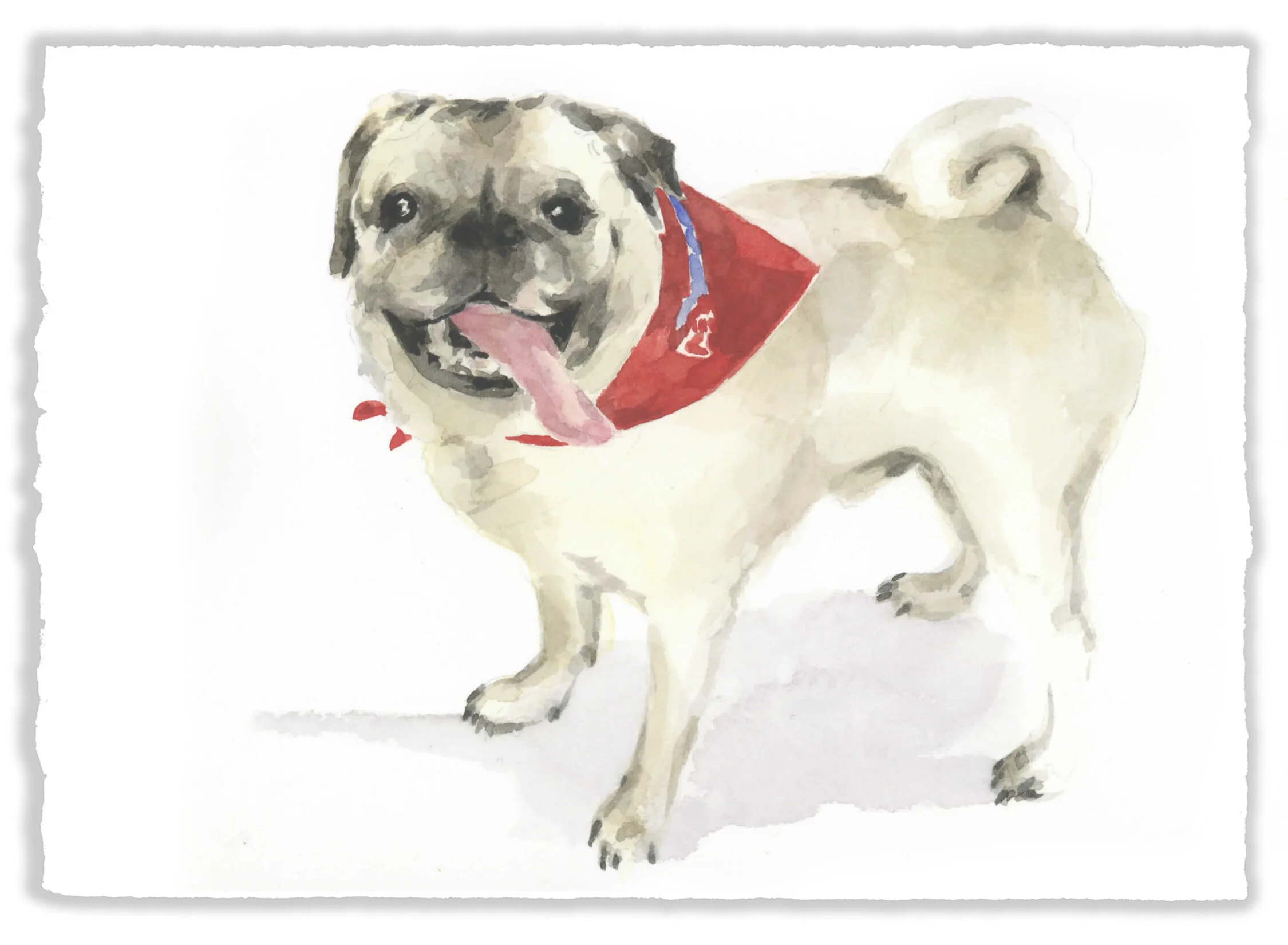 13 Pug.jpg