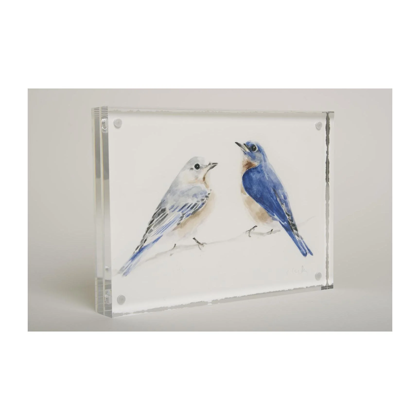 Bluebirds.sq.jpg