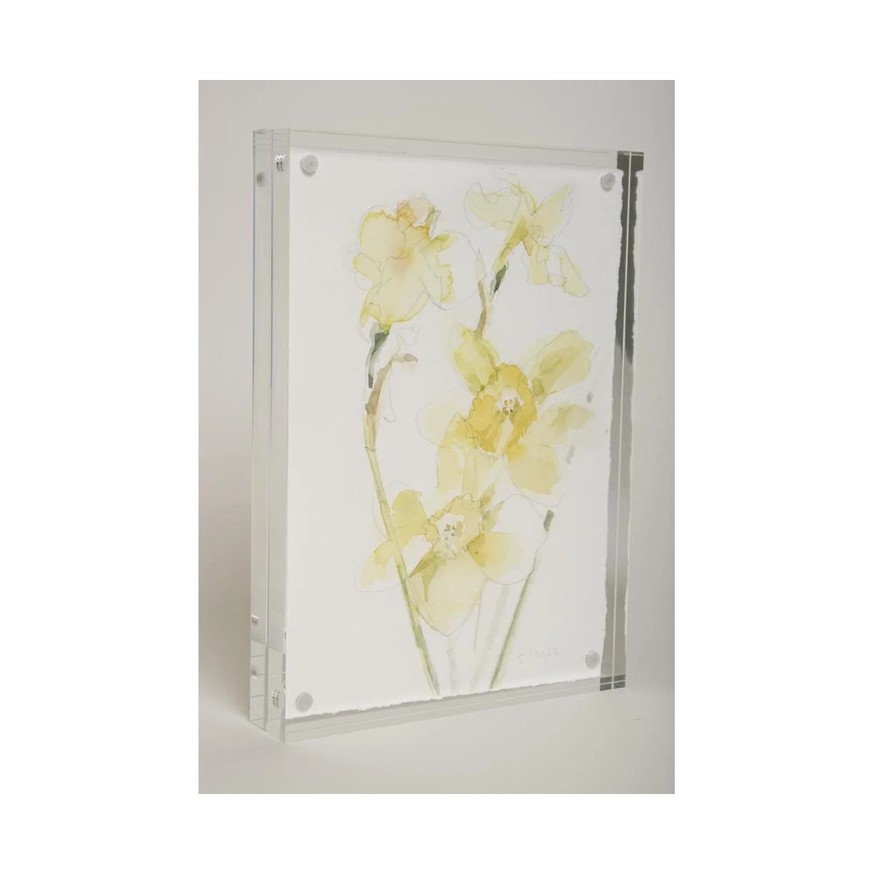 Acrylic-Framed Daffodils Print 