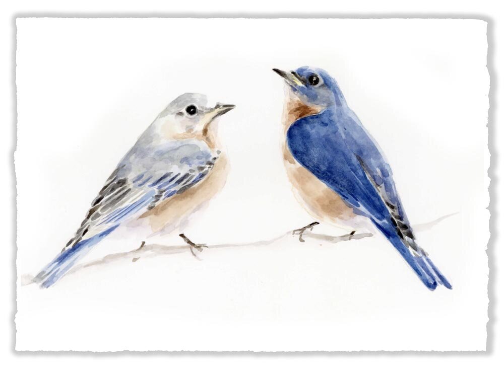 5x7" Bluebird Print