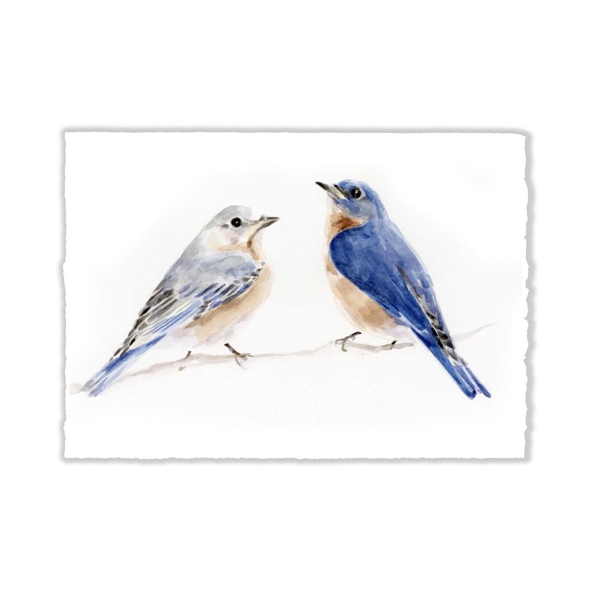 Bluebirds.sq.jpg