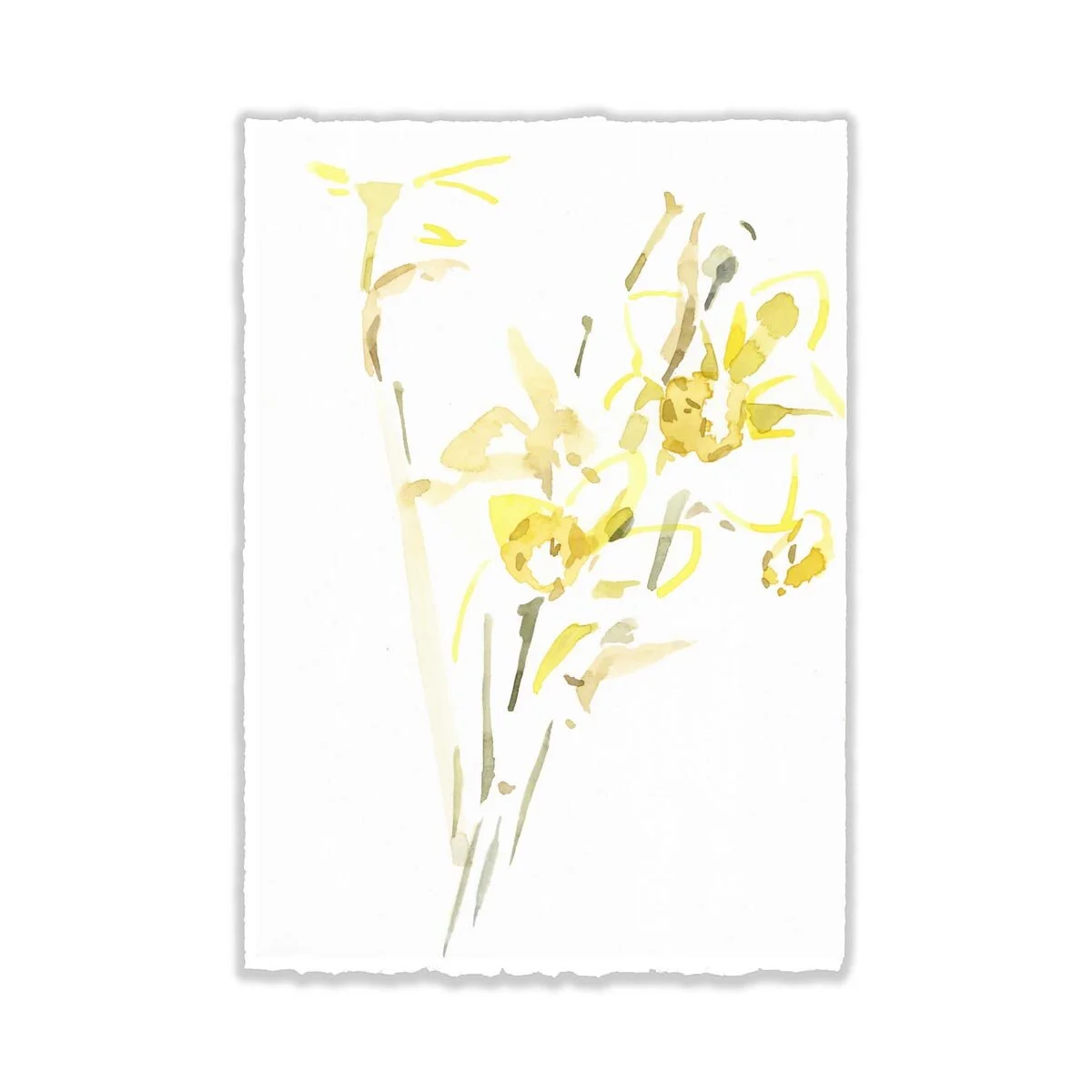 5x7" Abstract Daffodils ORIGINAL