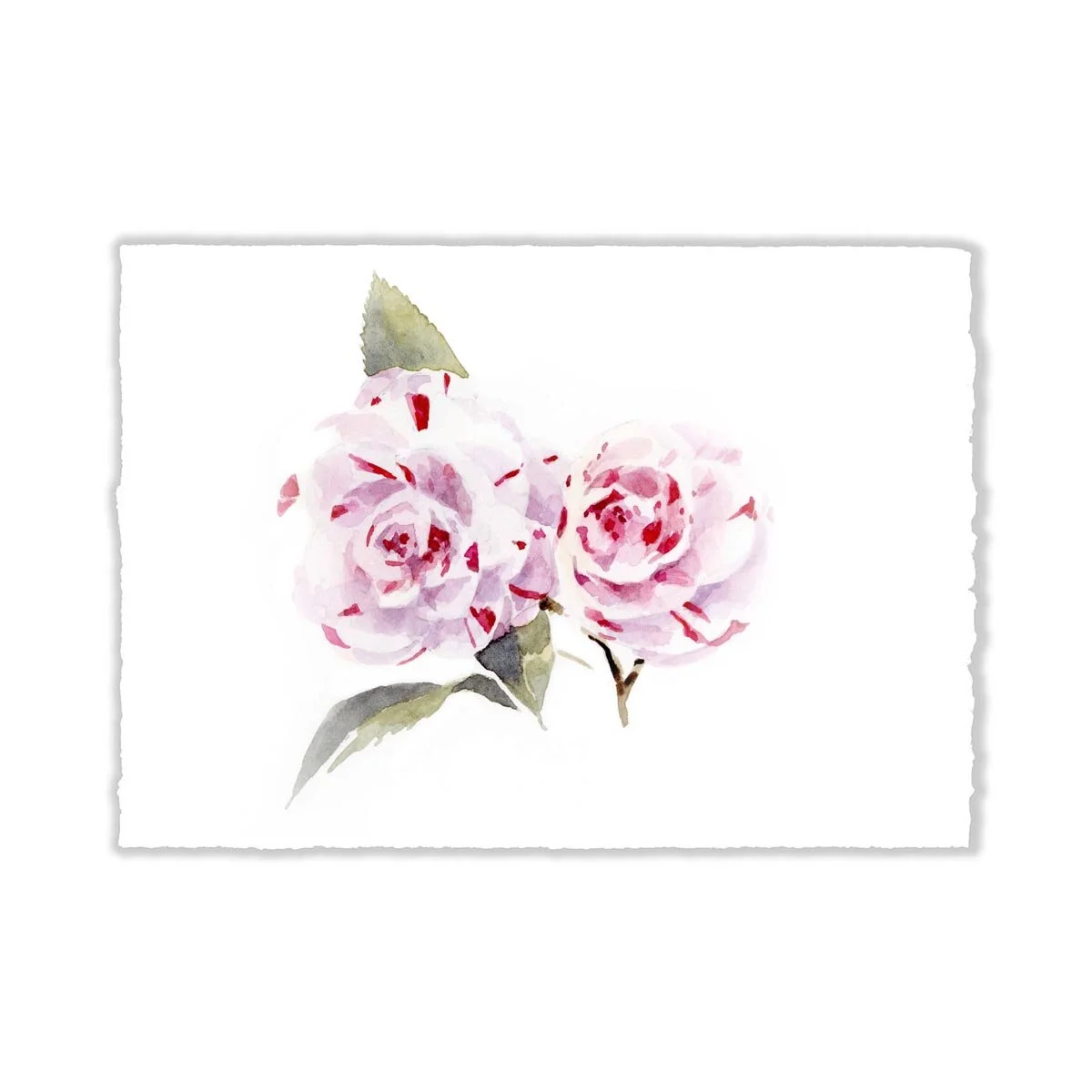 5x7" SpottedCamellia ORIGINAL