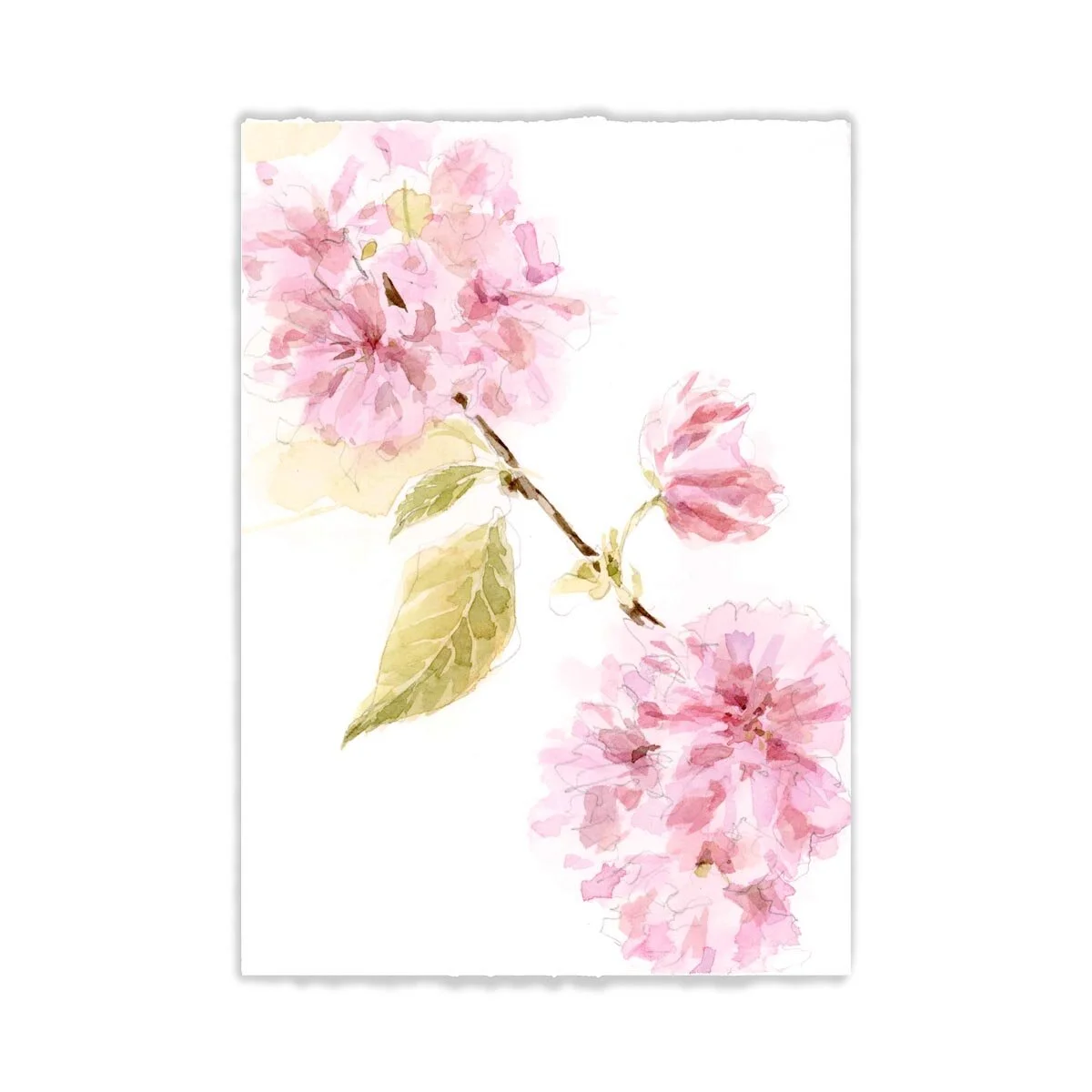 5x7" Cherry Blossom (3) ORIGINAL 
